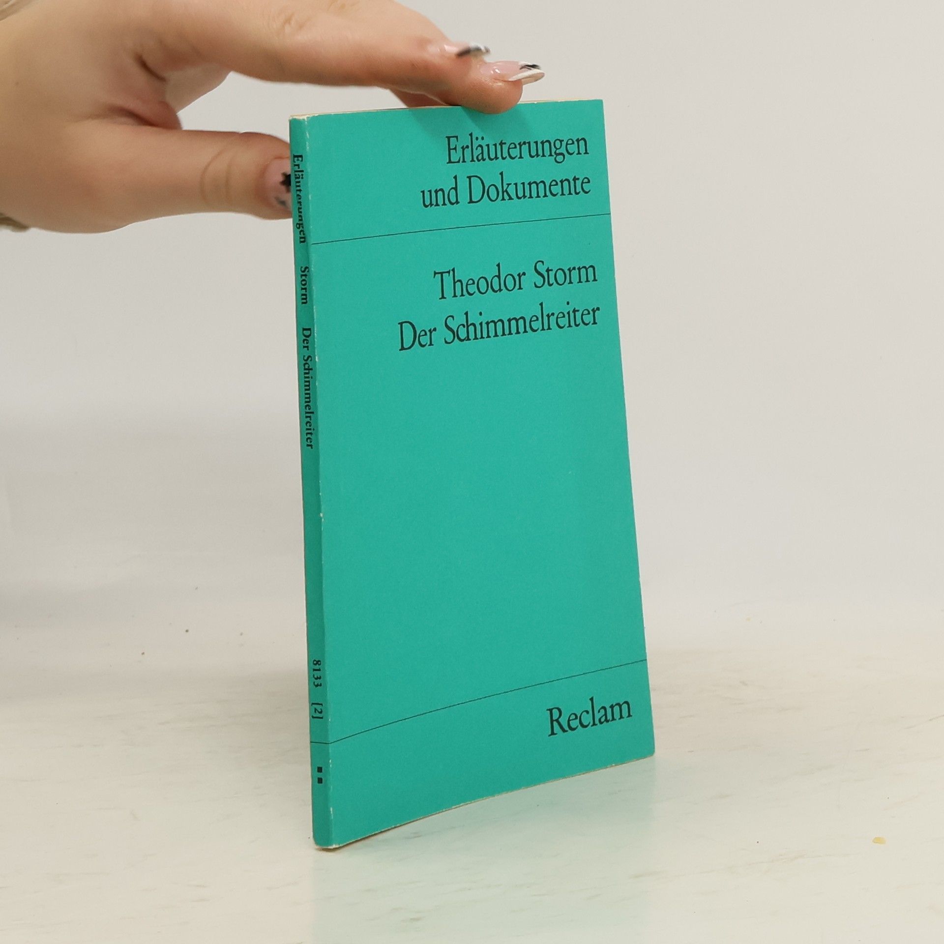 Theodor Storm, Der Schimmelreiter