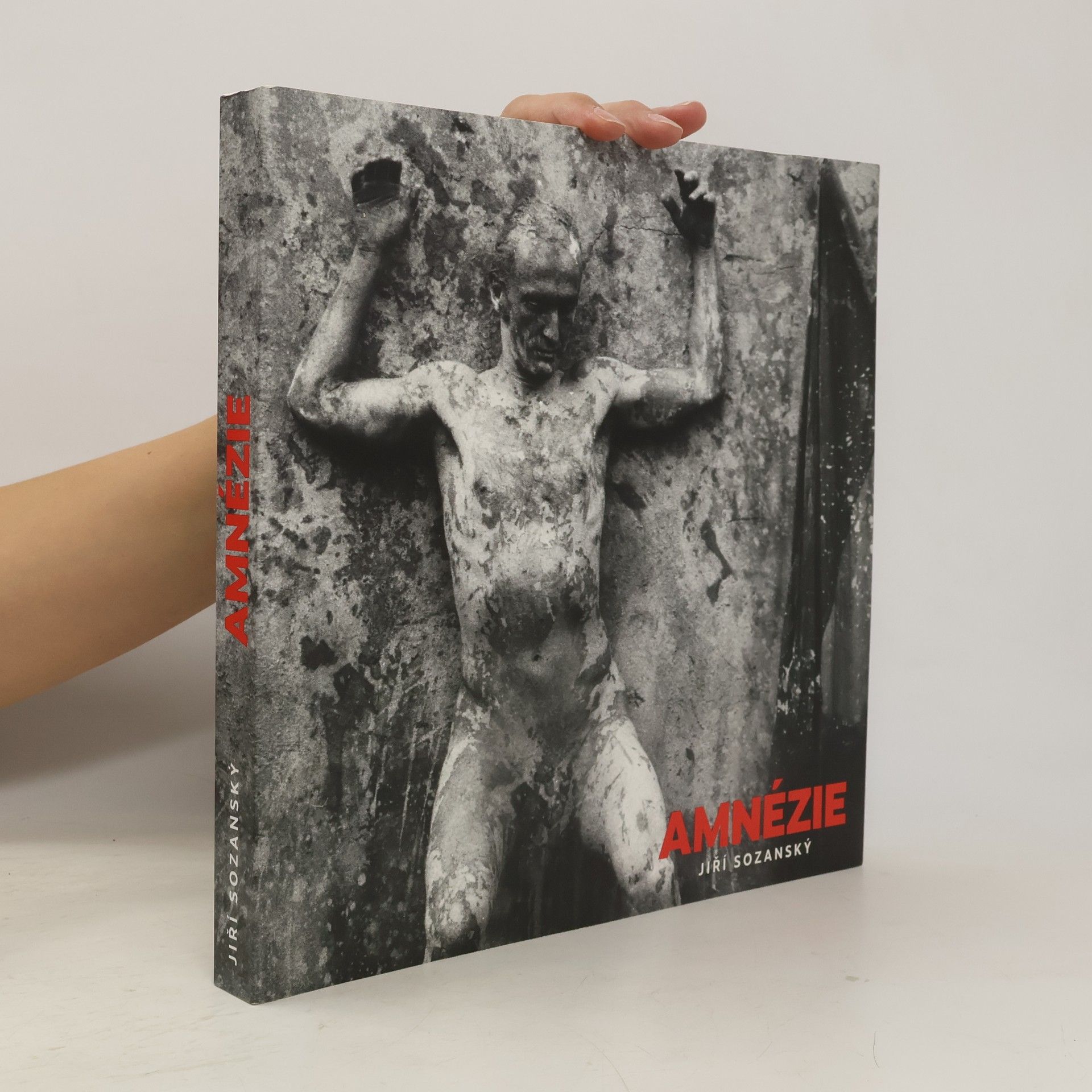 Jiři Sozanský Amnézie