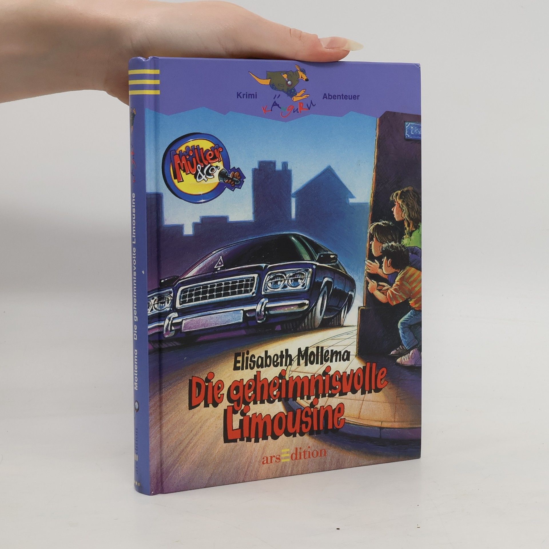 Die geheimnisvolle Limousine