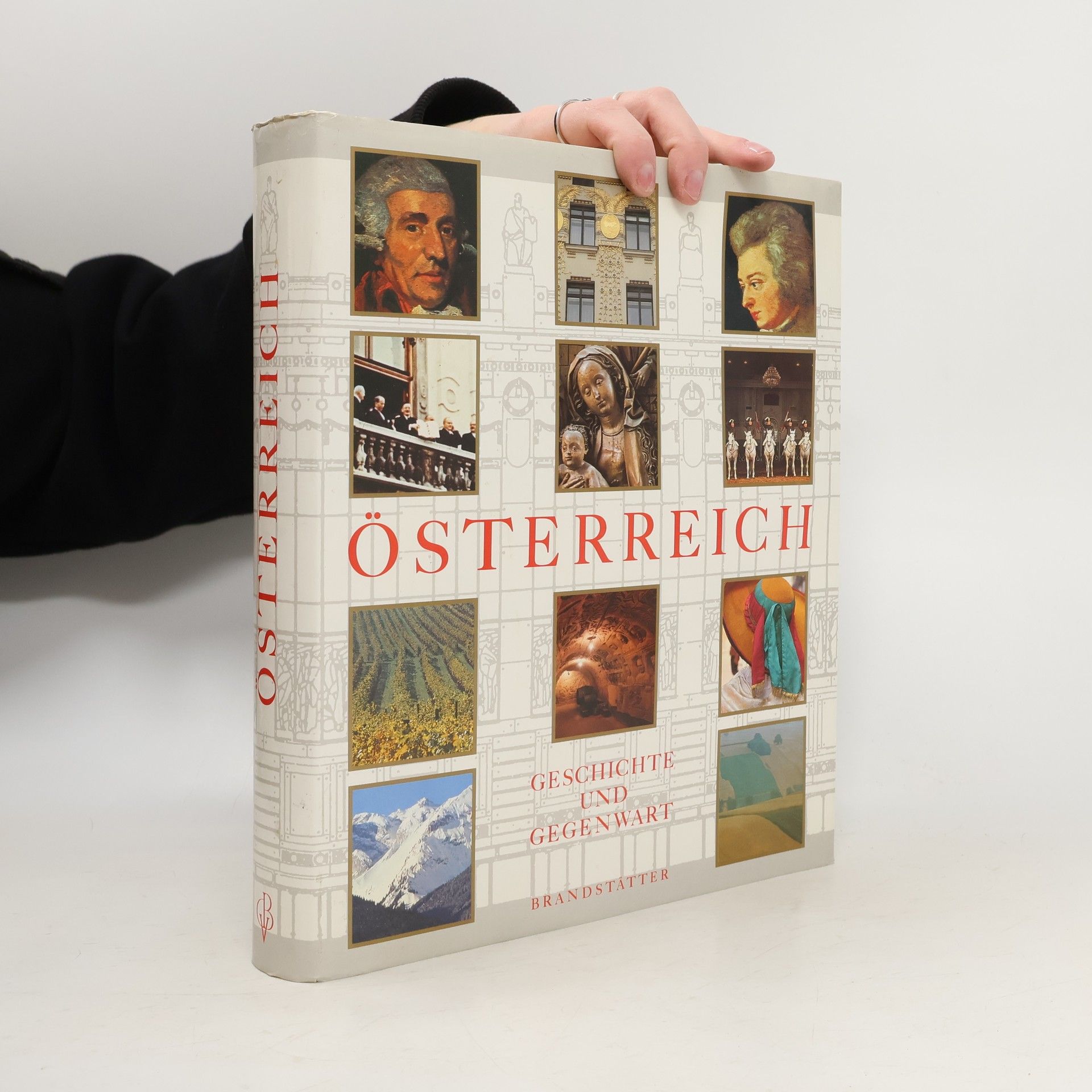 Collectif d'auteurs Österreich : Geschichte und Gegenwart