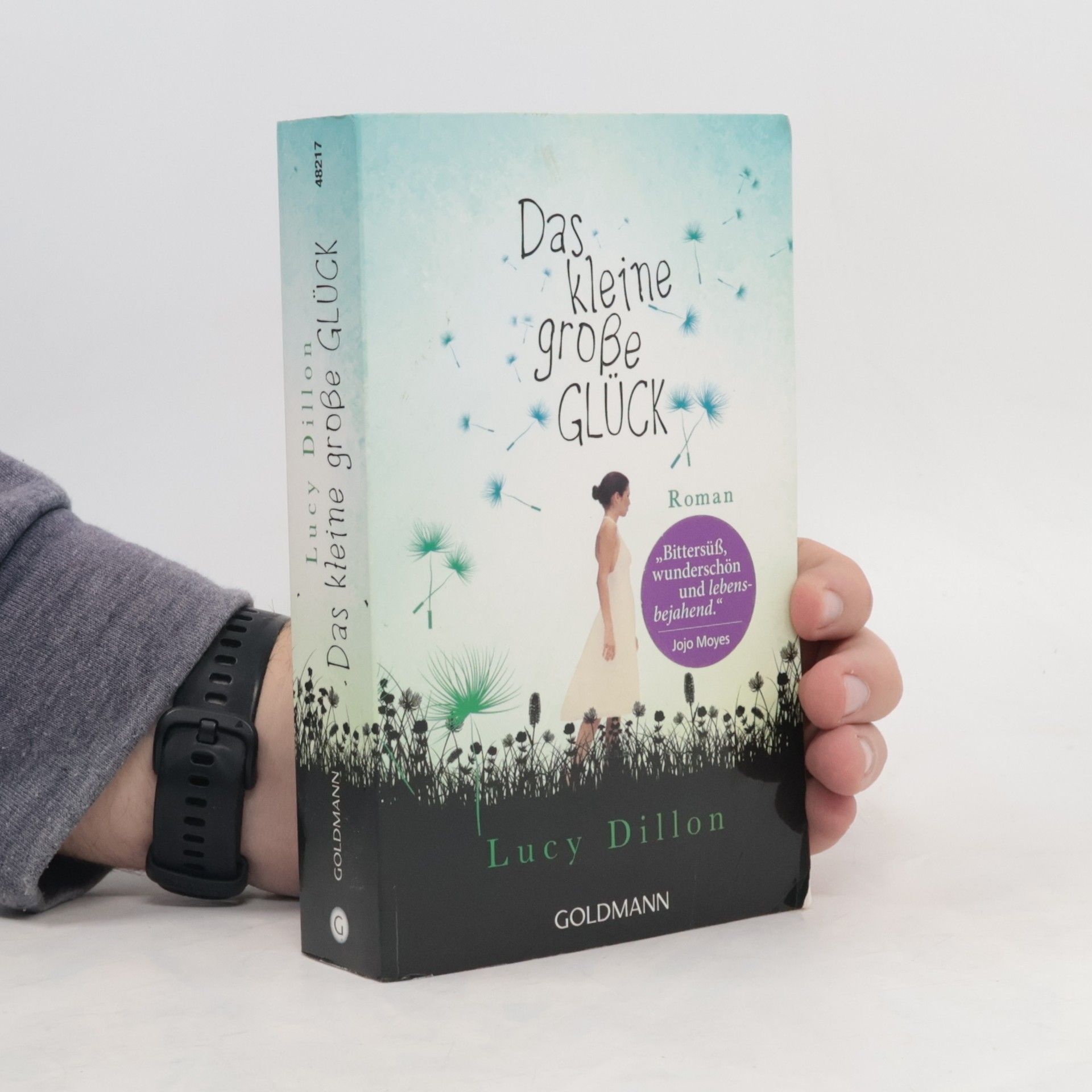 Lucy Dillon Das kleine große Glück