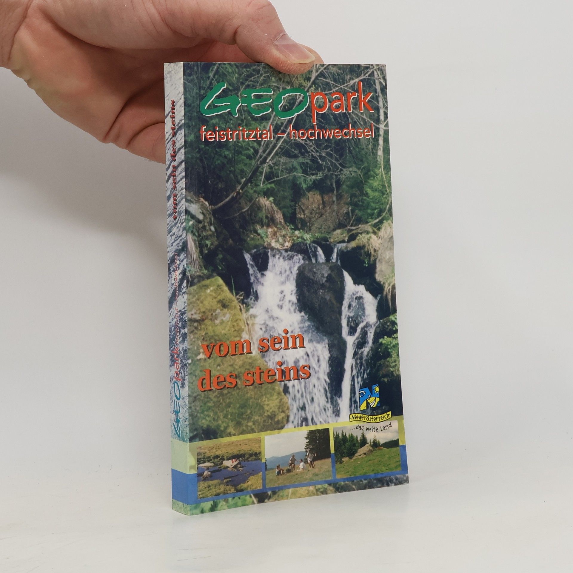 Collectif d'auteurs Geopark Feistritztal-Hochwechsel: Vom Sein des Stein