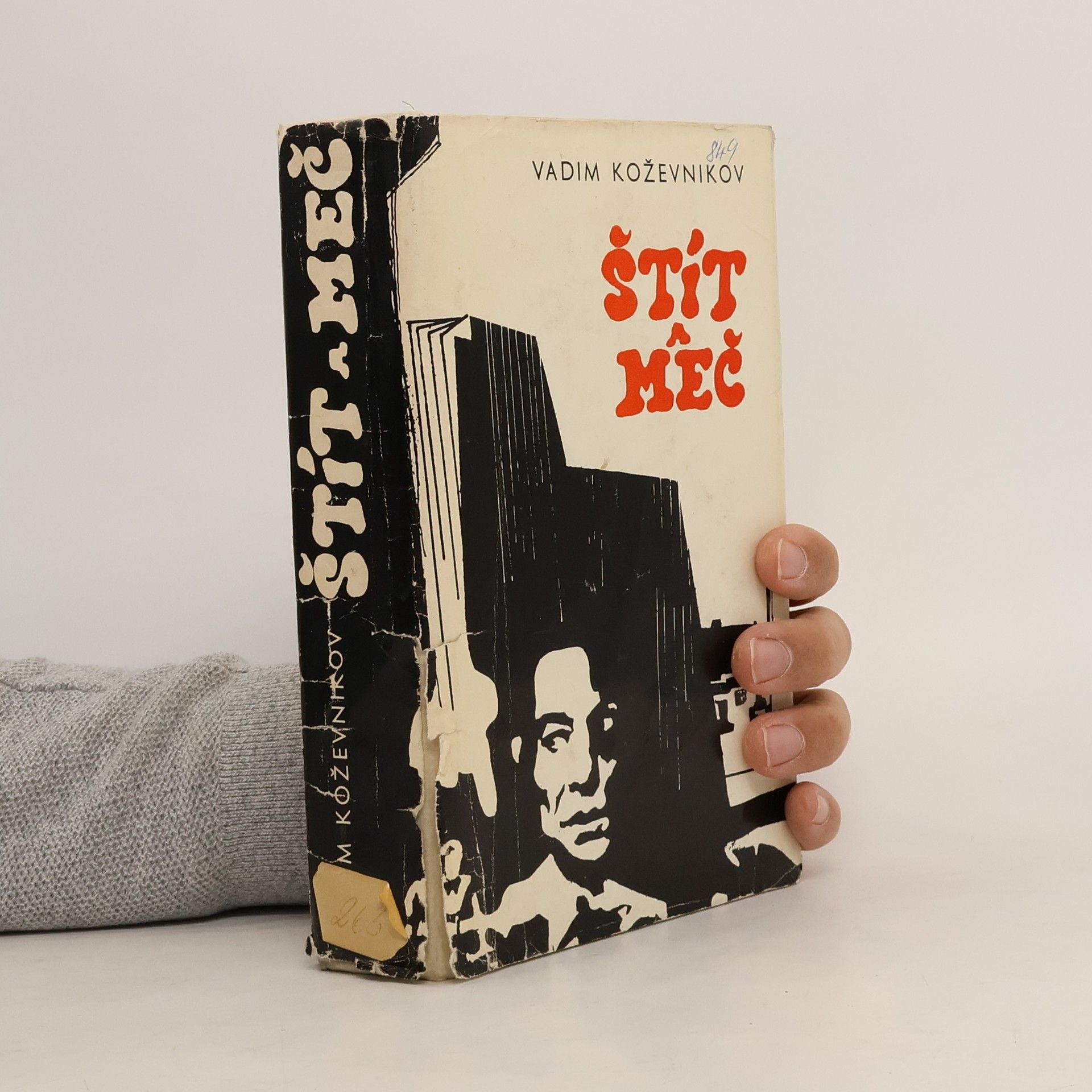 Koževnikov Vadim Štít a meč