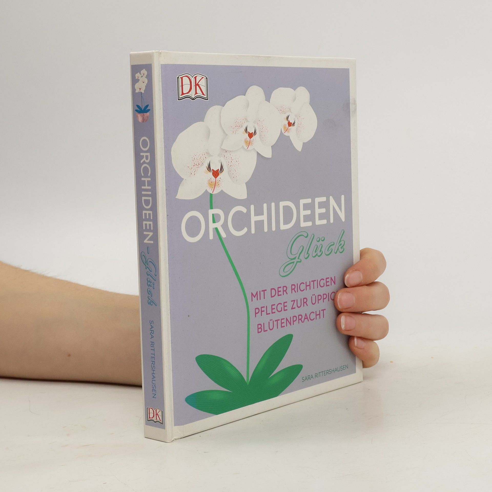 Orchideen-Glück