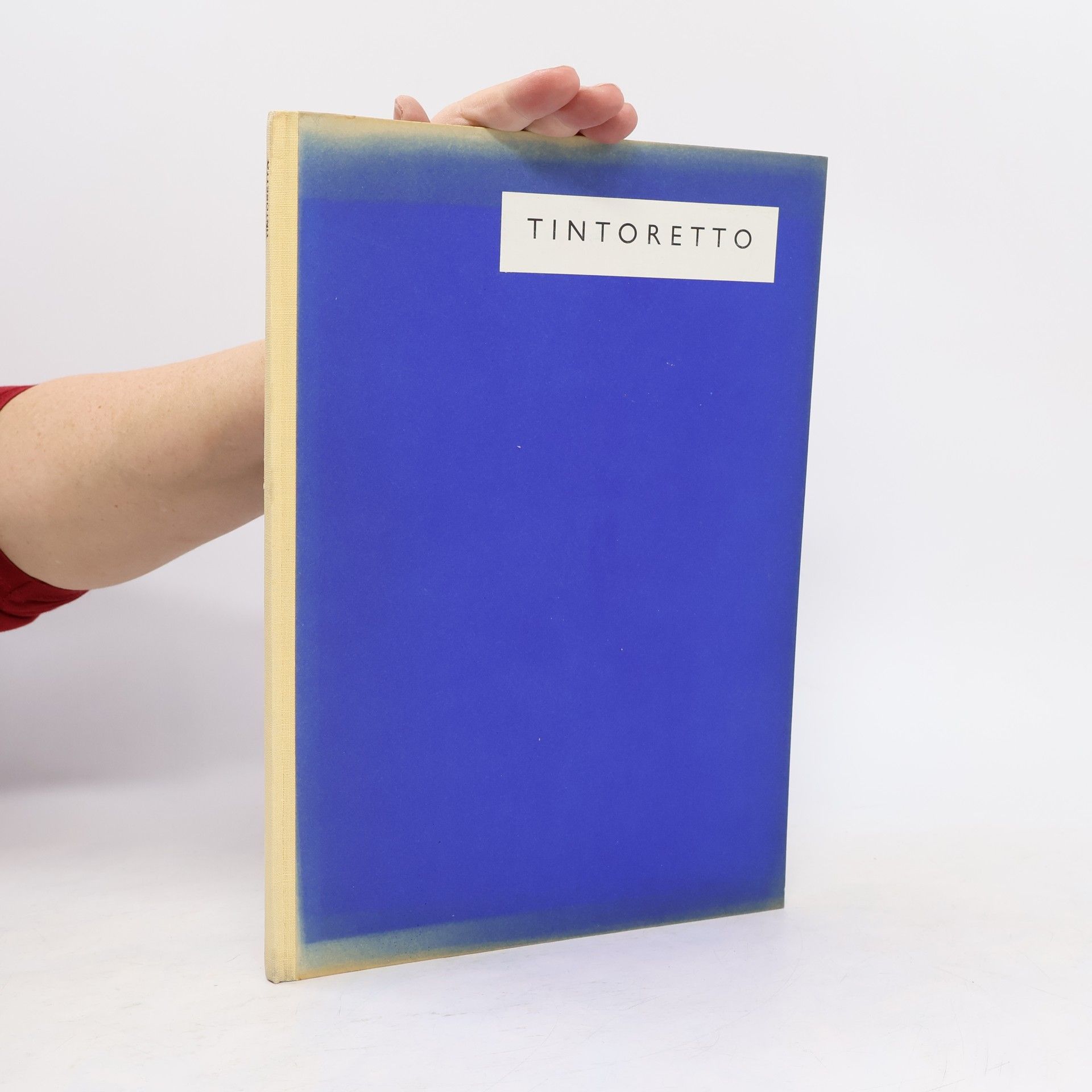 Autorenkollektiv Prameny sbírka dobrého umění 19: Tintoretto