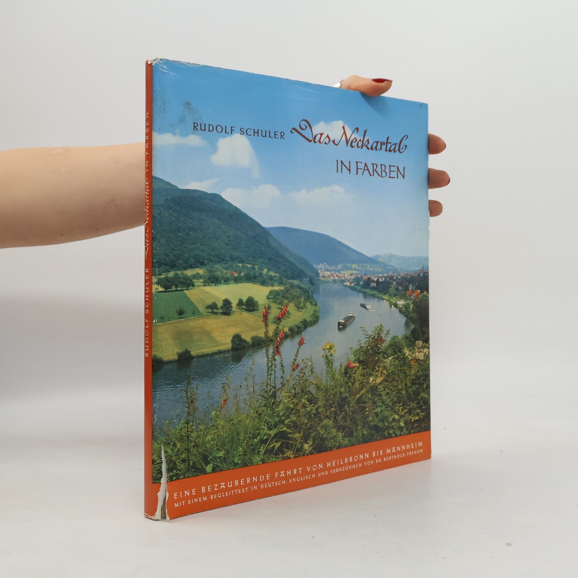 Rudolf Schuler Das Neckartal in Farben