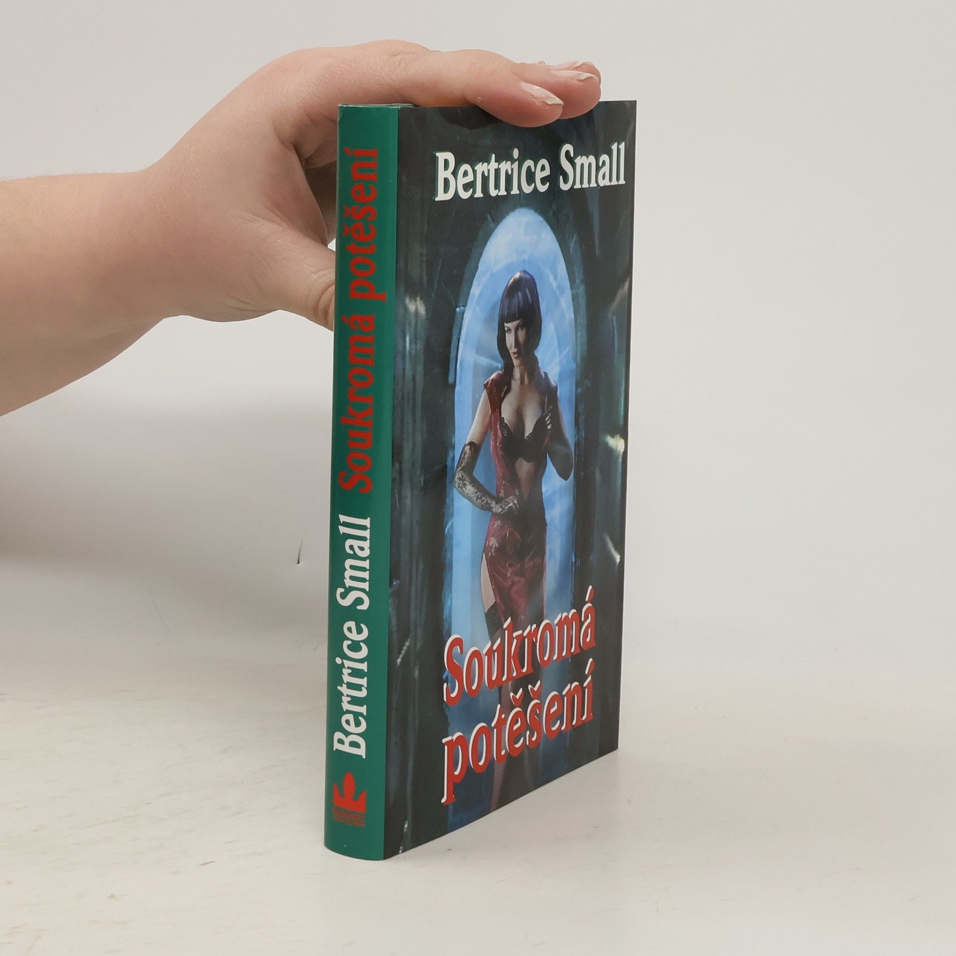 Bertrice Small Soukromá potěšení