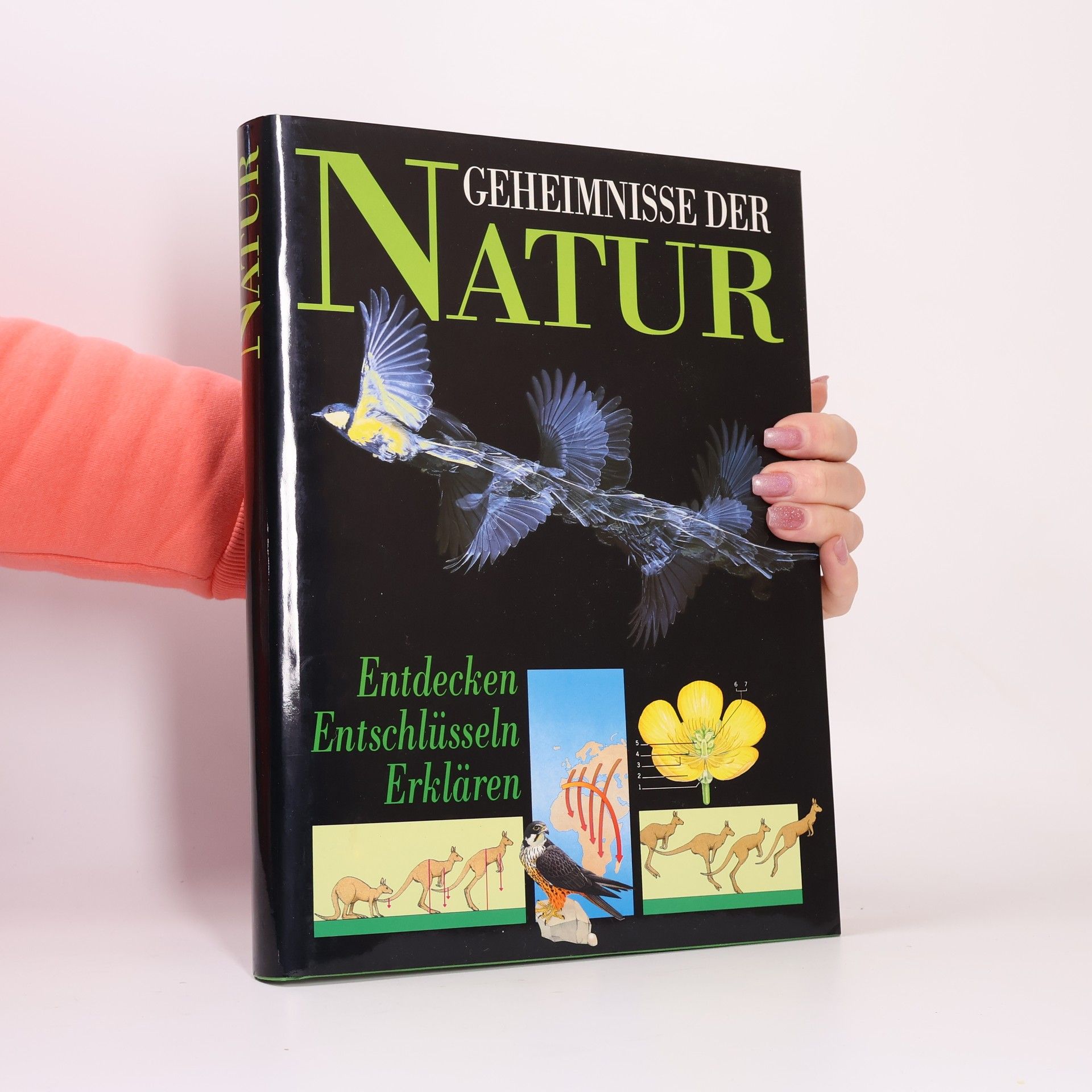 Kolektív autorov Geheimnisse der Natur