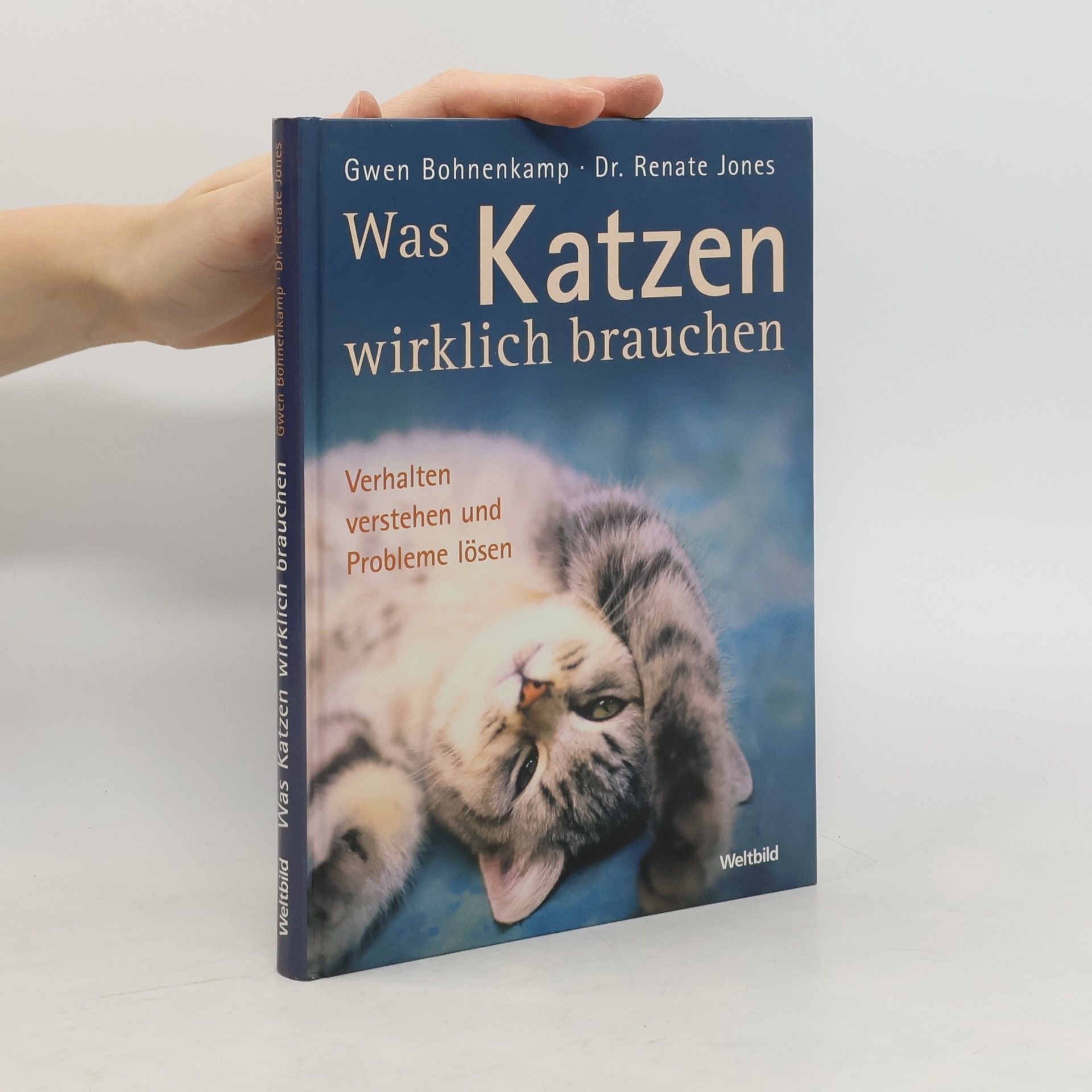 Was Katzen wirklich brauchen