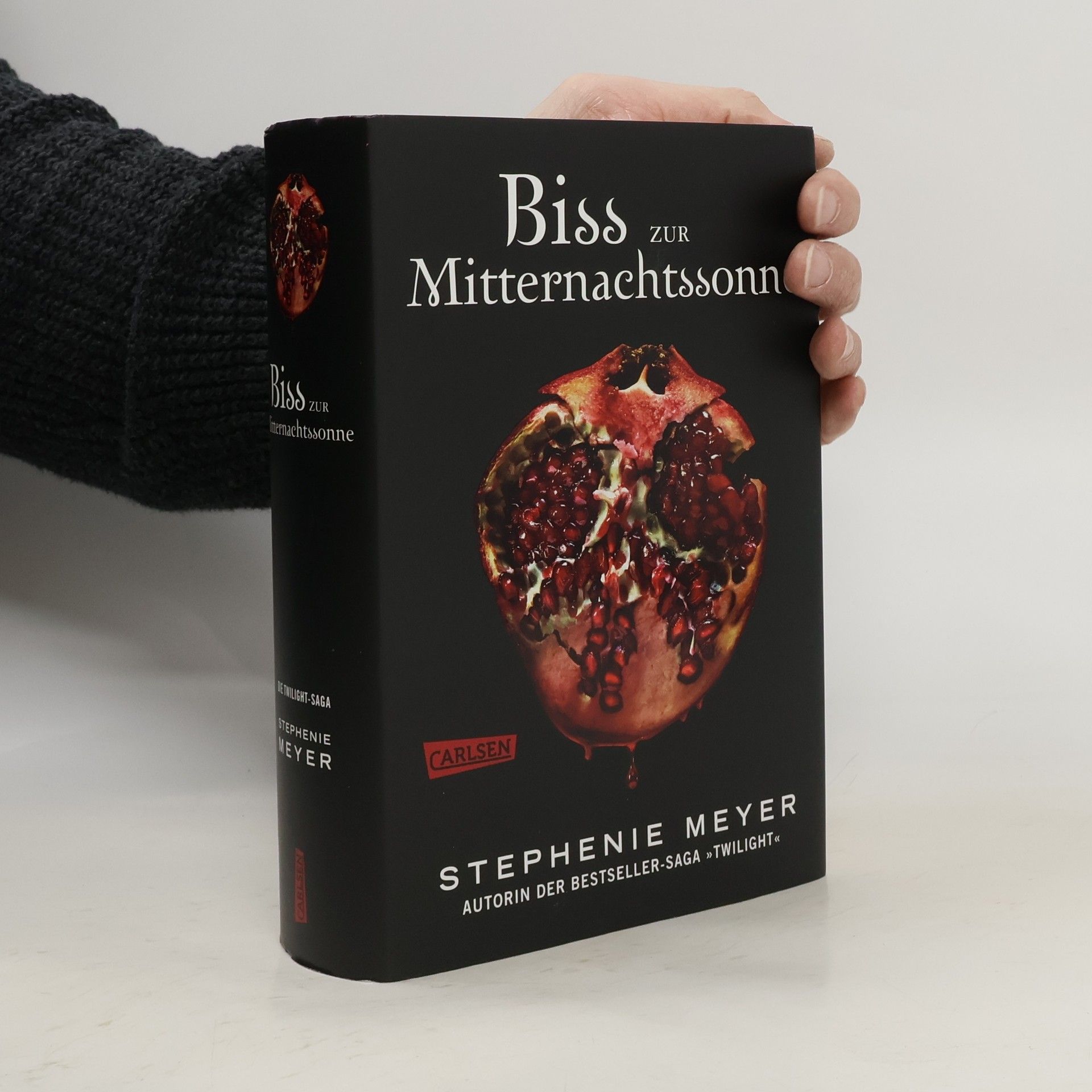 Biss zur Mitternachtssonne