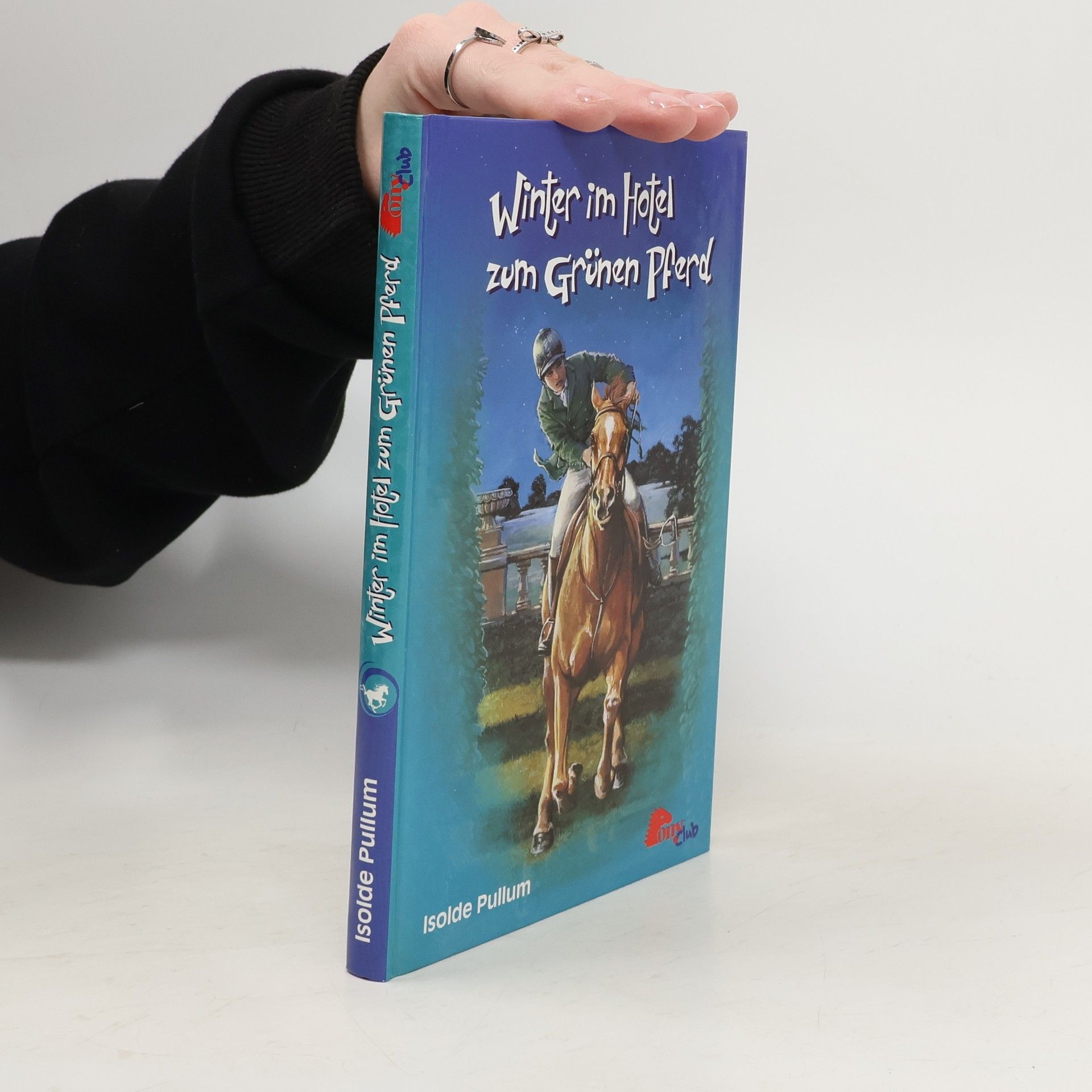 Winter im Hotel zum Grünen Pferd