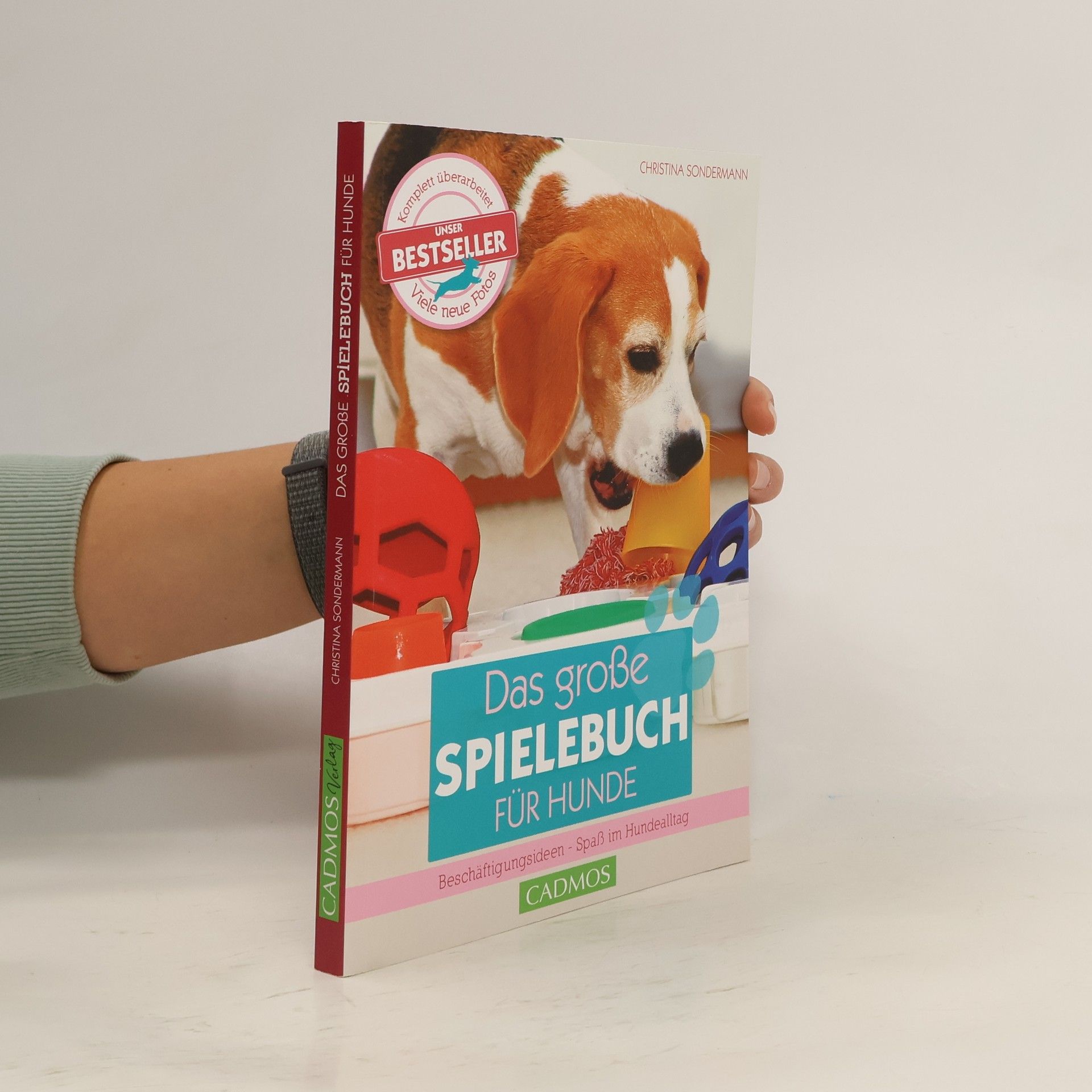 Das große Spielebuch für Hunde