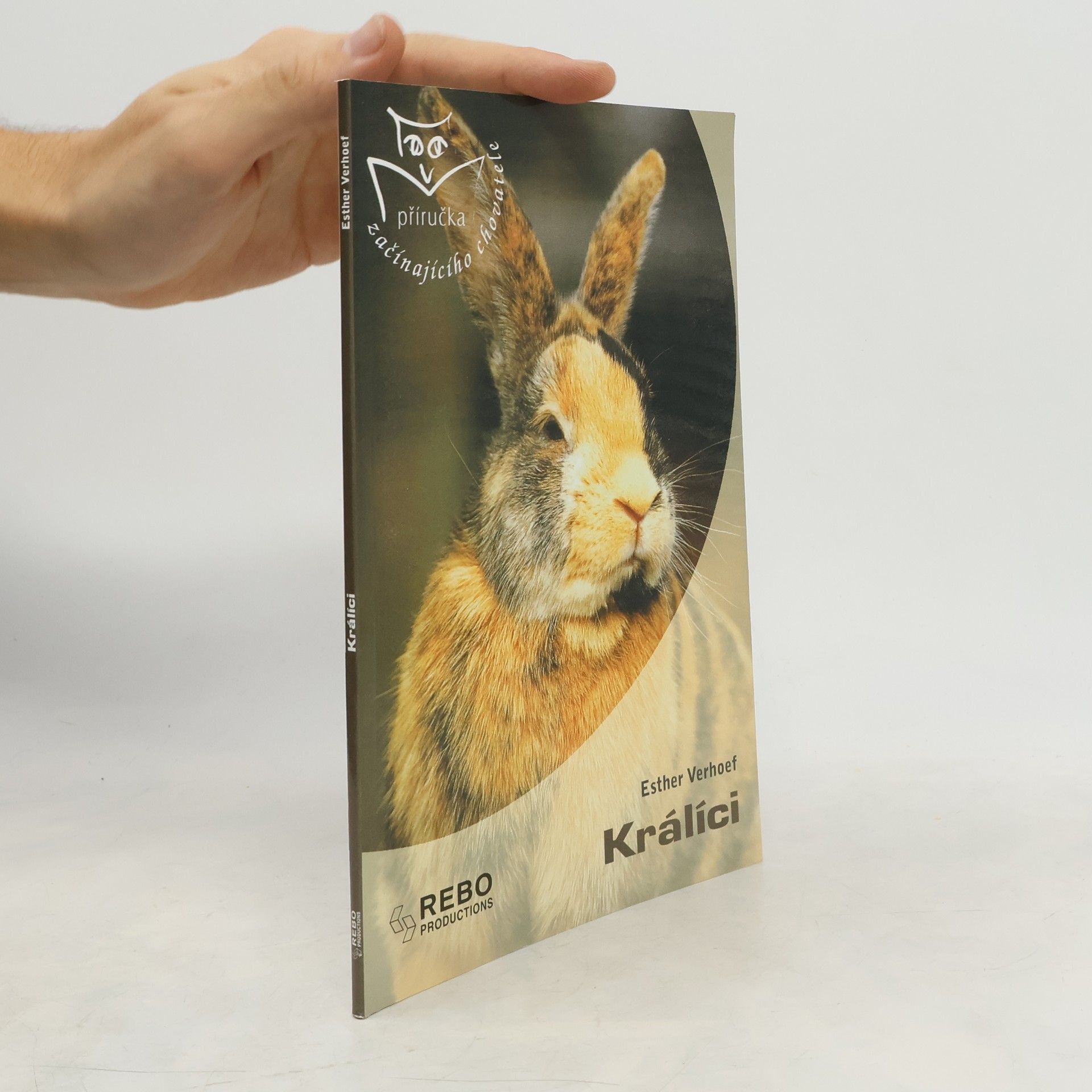 Berry Verhoef Králíci