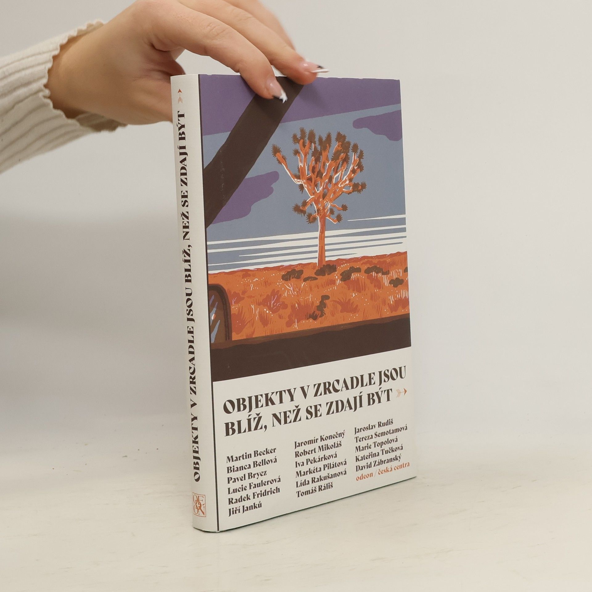 Autorenkollektiv Objekty v zrcadle jsou blíž, než se zdají být