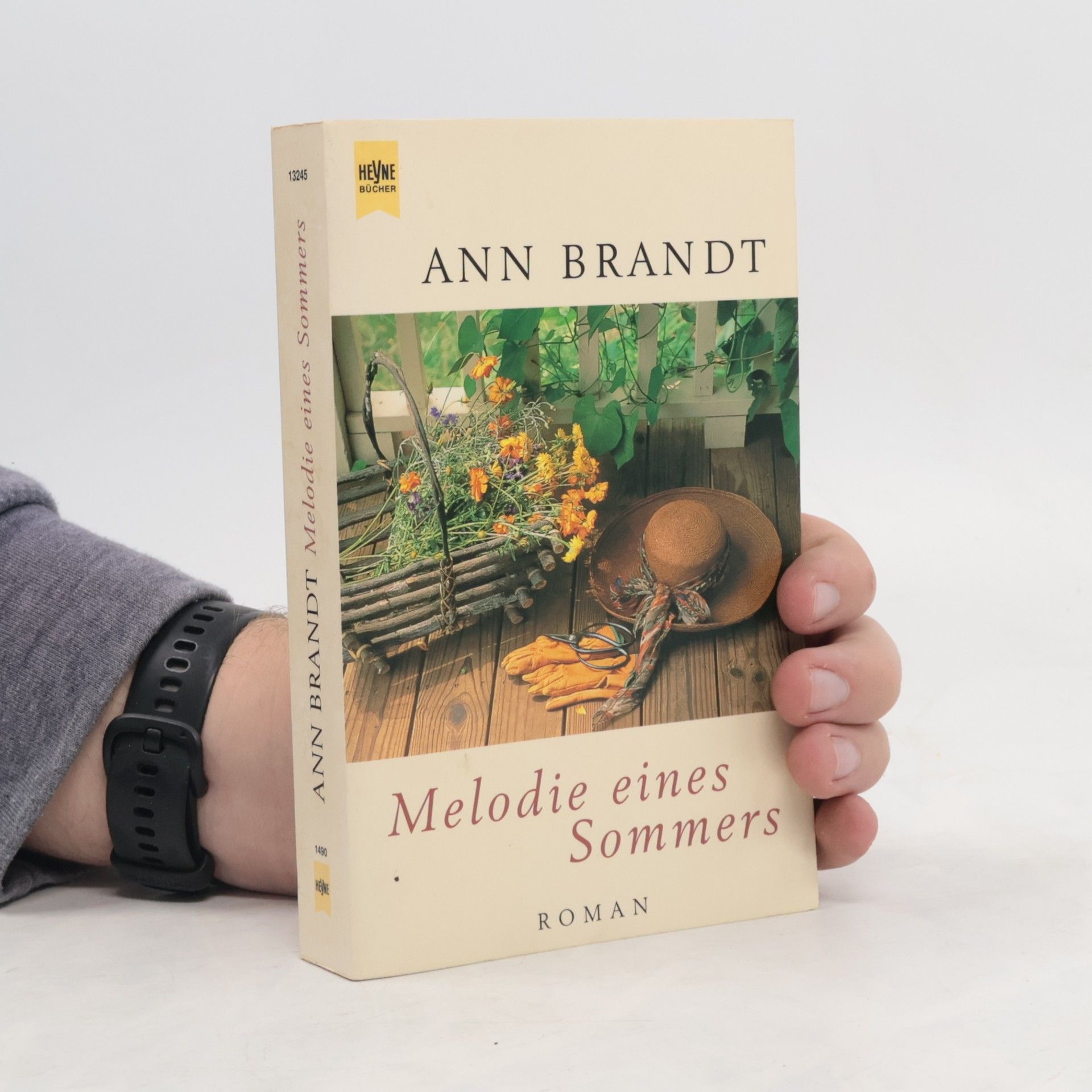 Ann Brandt Melodie eines Sommers