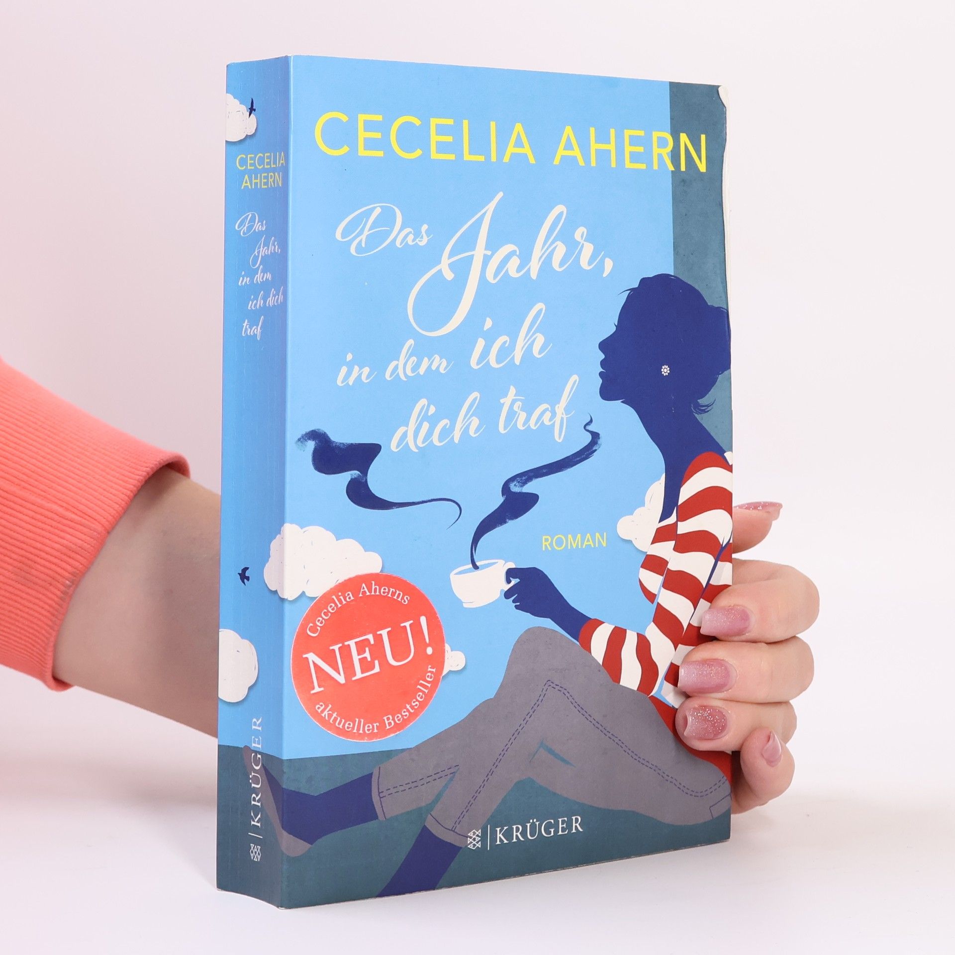 Cecelia Ahern Das Jahr, in dem ich dich traf