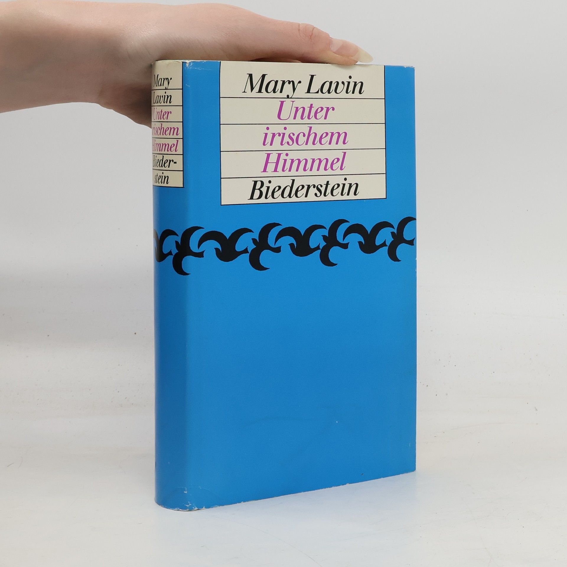 Unter irischem Himmel