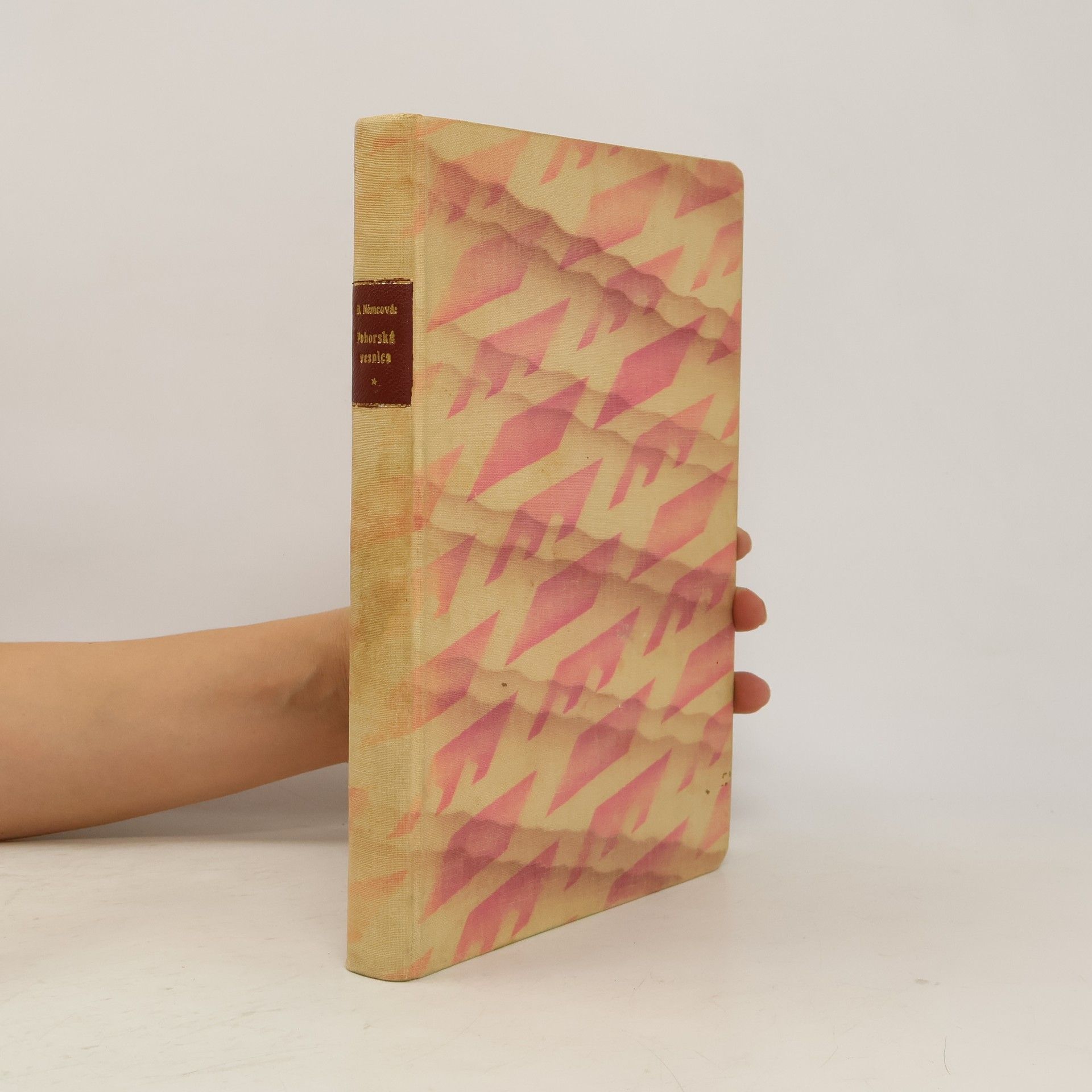 Božena Němcová Pohorská vesnice