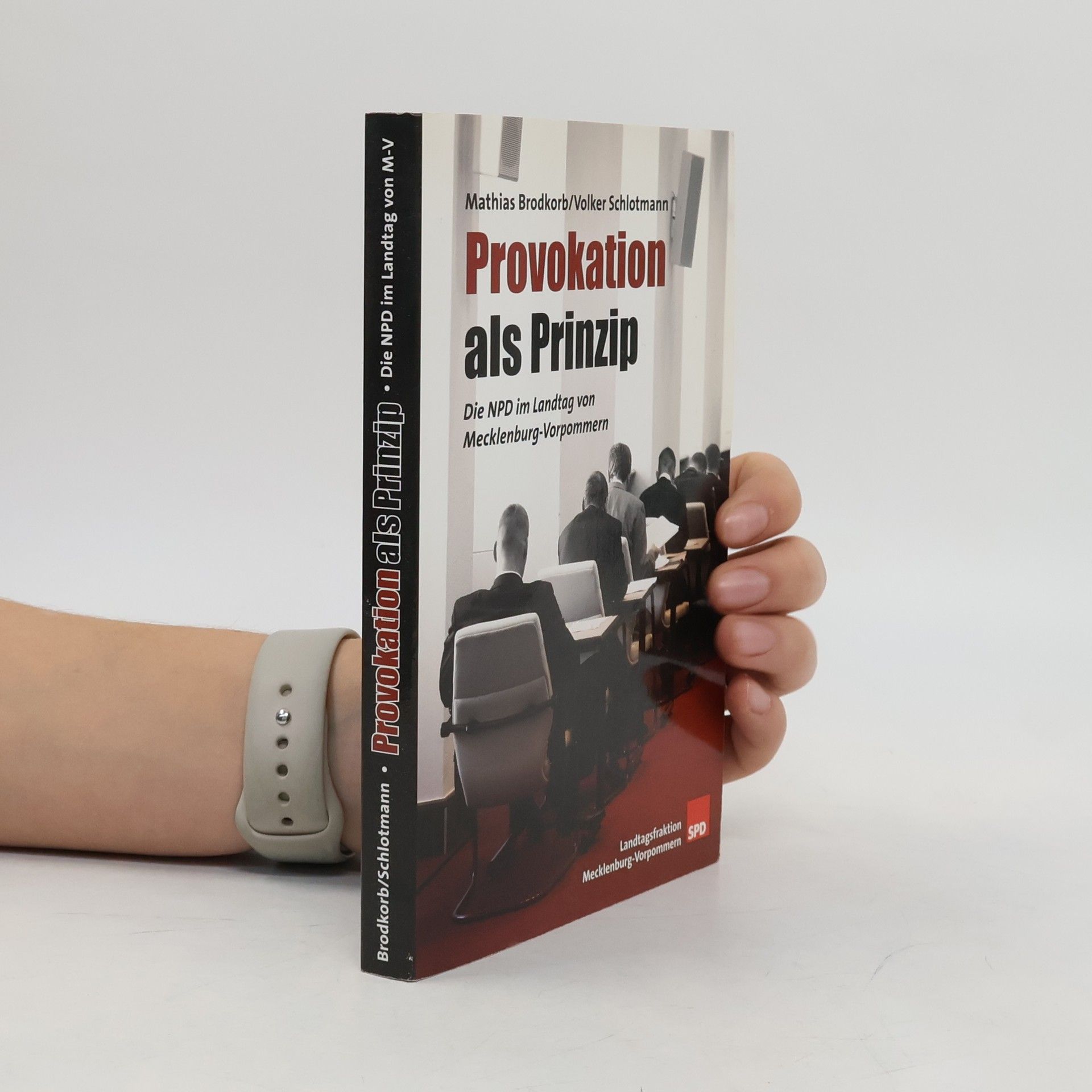 Provokation als Prinzip