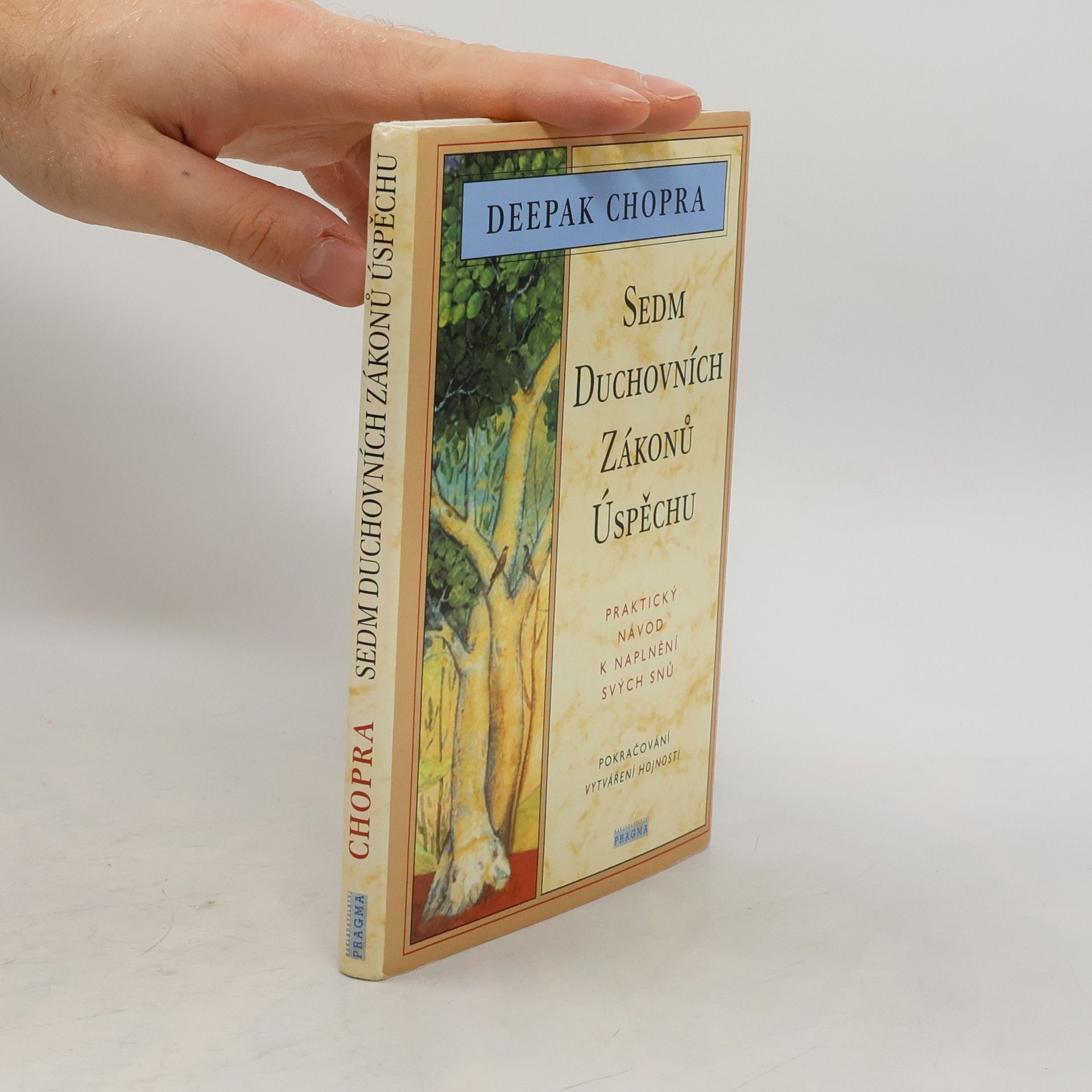 Sedm duchovních zákonů úspěchu: Praktický návod k naplnění svých snů