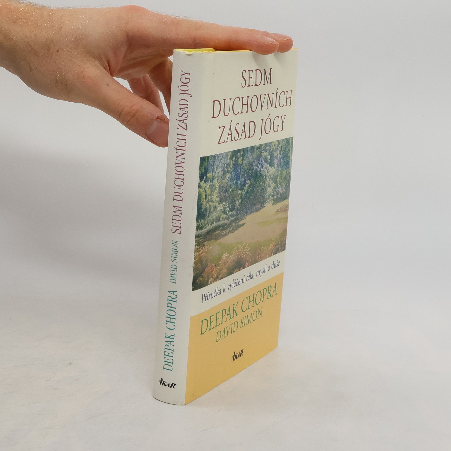 Sedm duchovních zásad jógy : příručka k vyléčení těla, mysli a duše