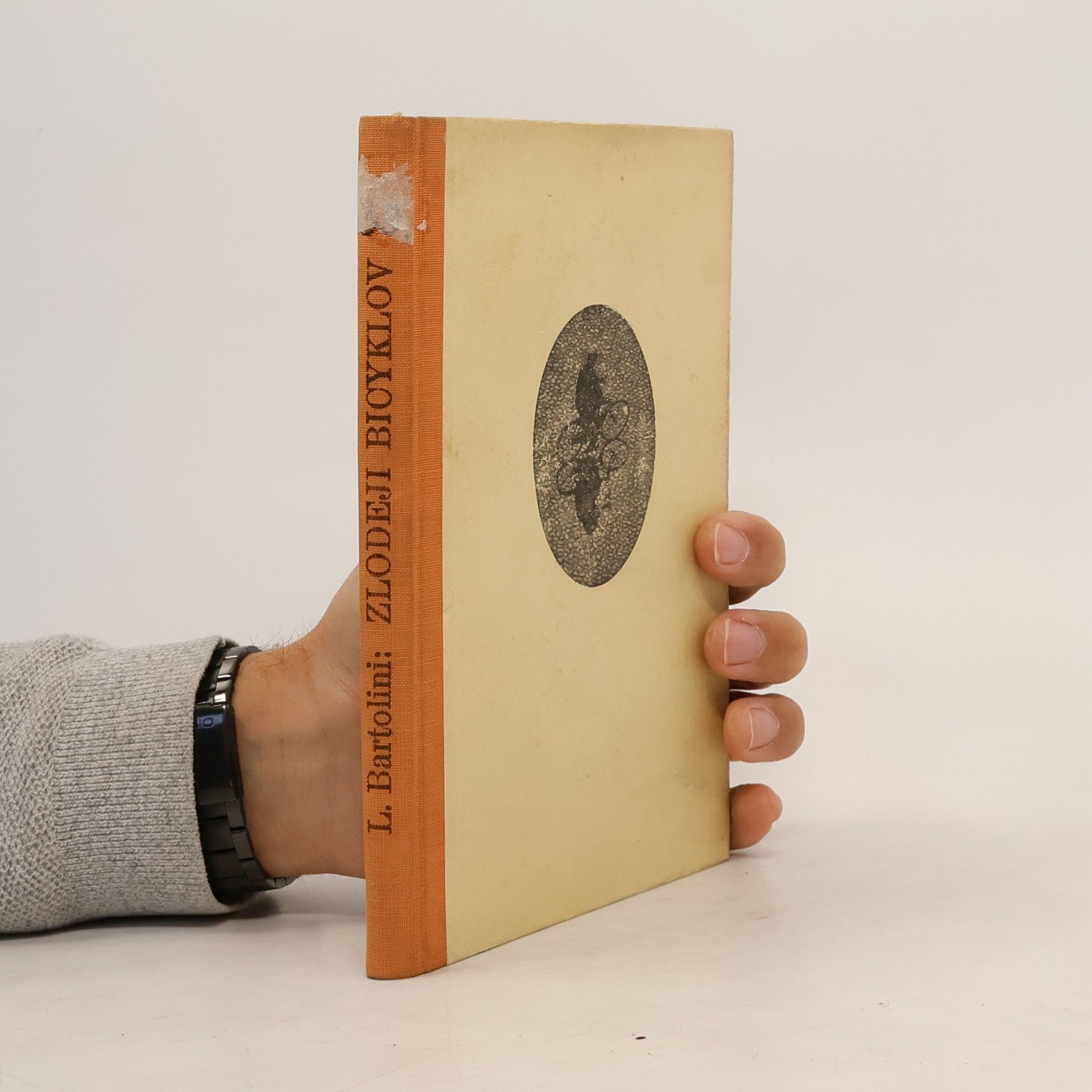 Luigi Bartolini Zlodeji bicyklov