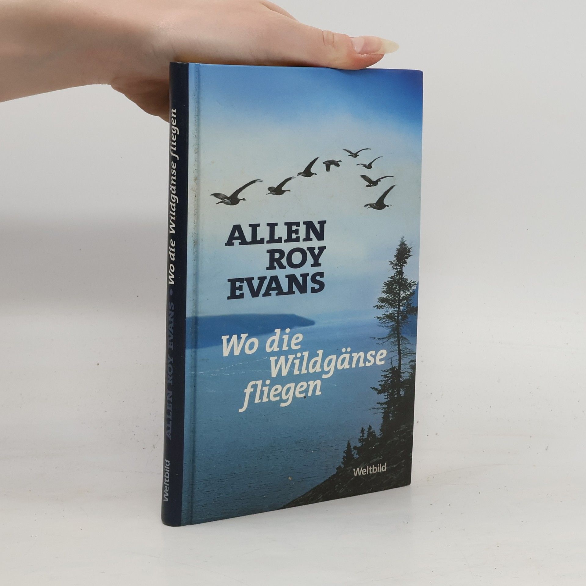 Wind über weißen Wegen