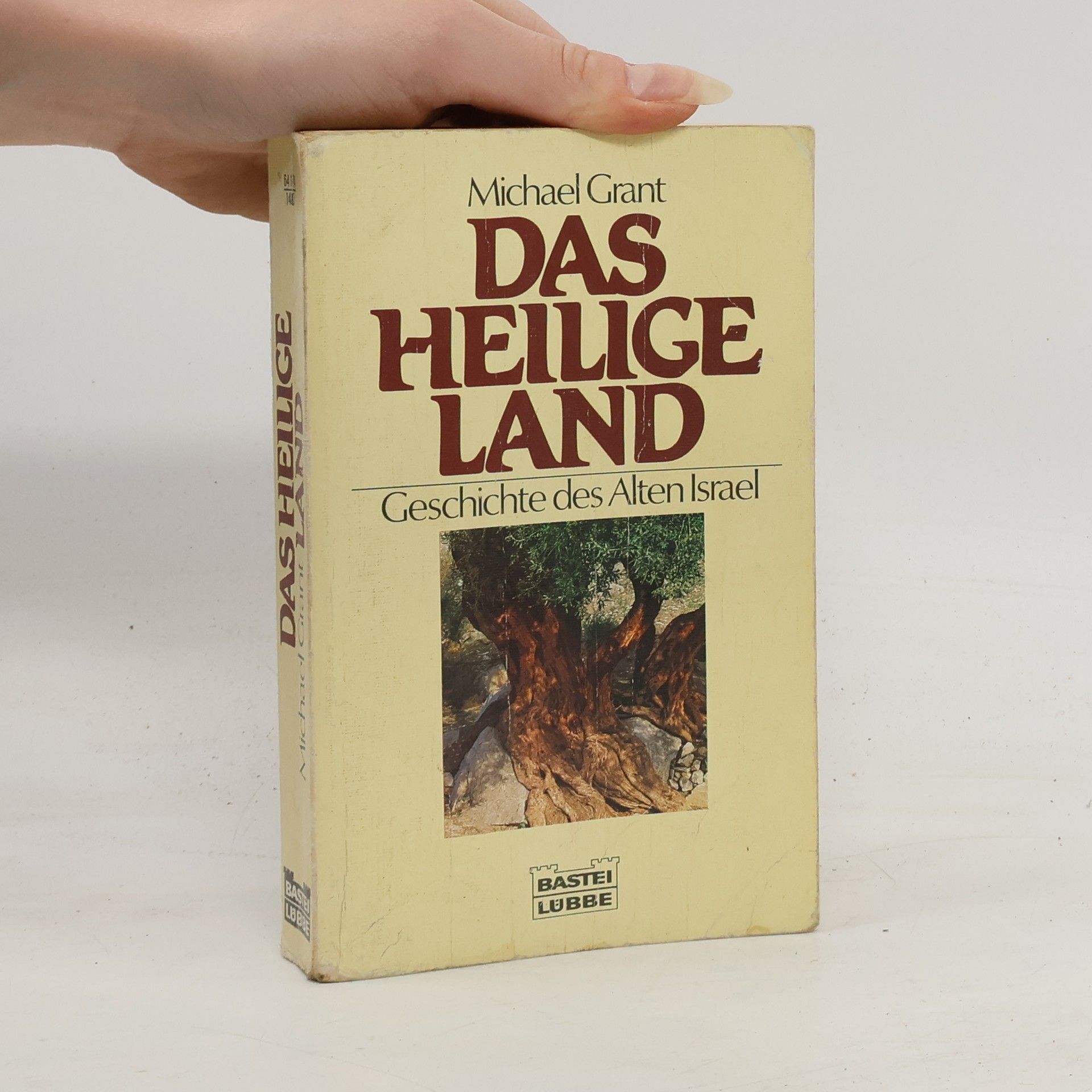 Michael Grant Das Heilige Land