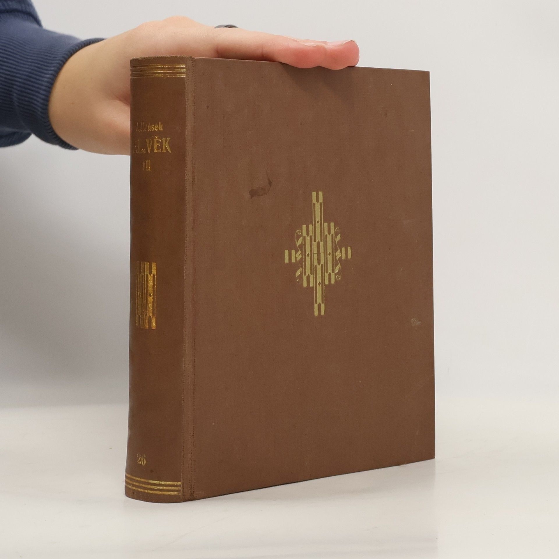 Alois Jirásek F. L. Věk 3