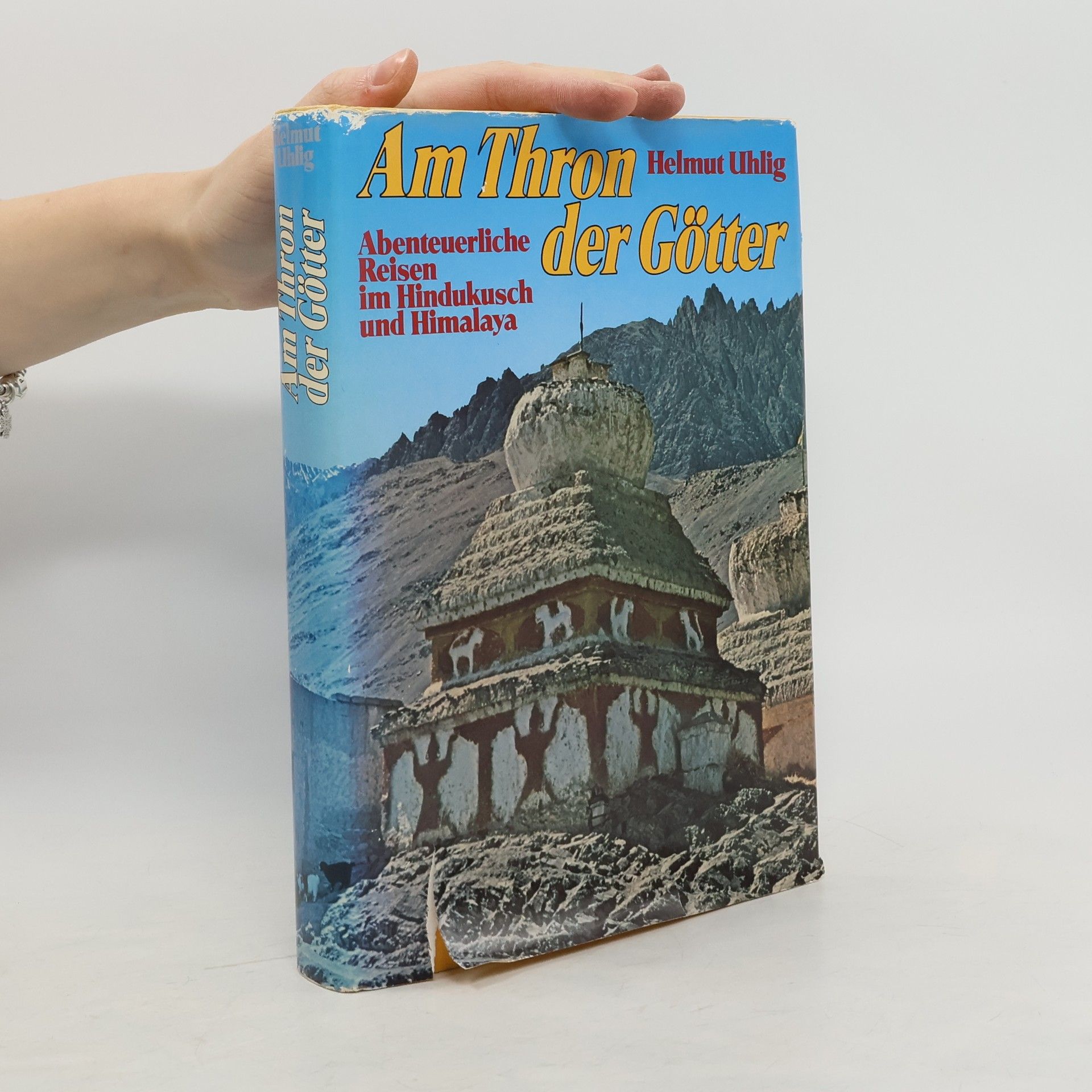 Helmut Uhlig Am Thron der Götter