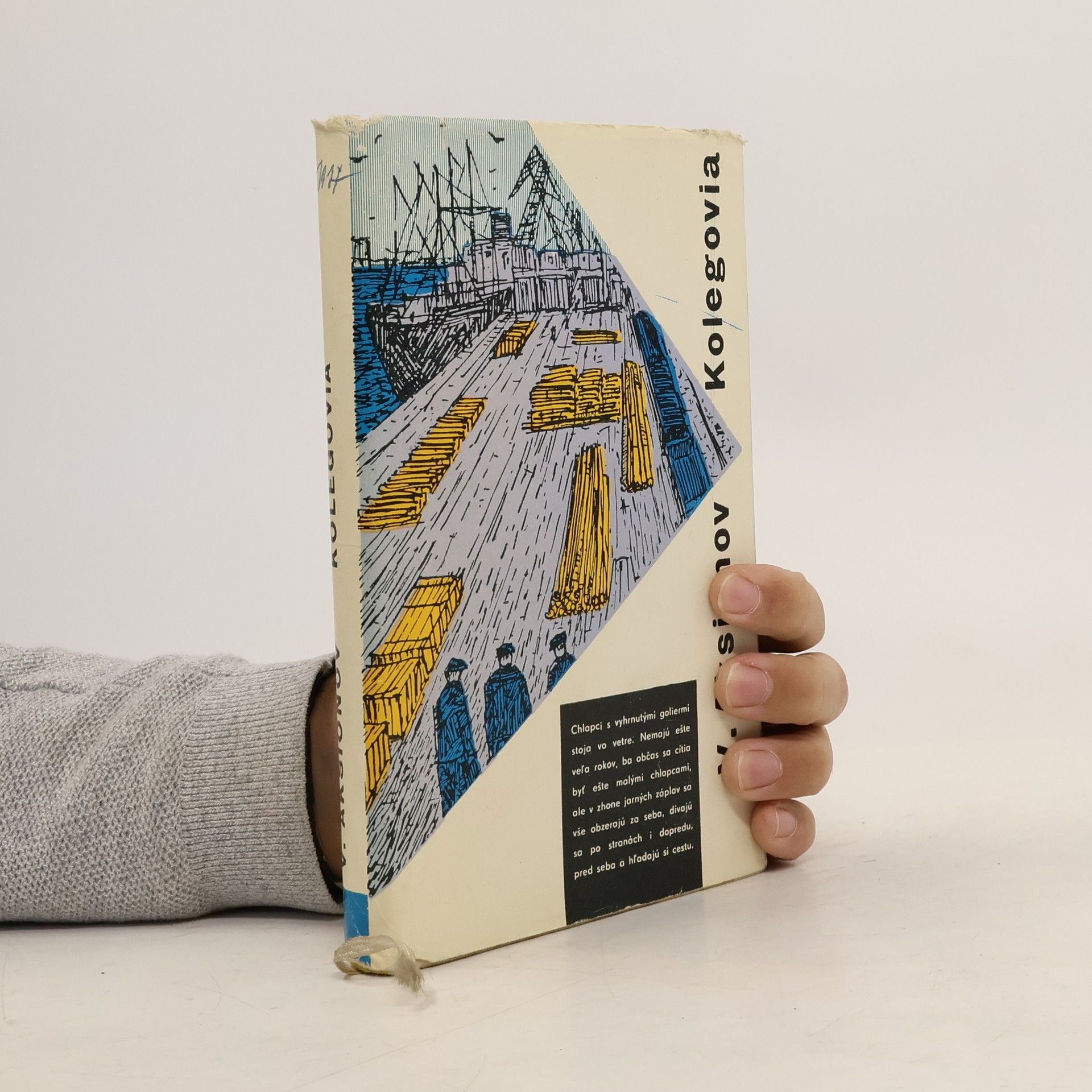 Wassili Pawlowitsch Aksjonow Kolegovia