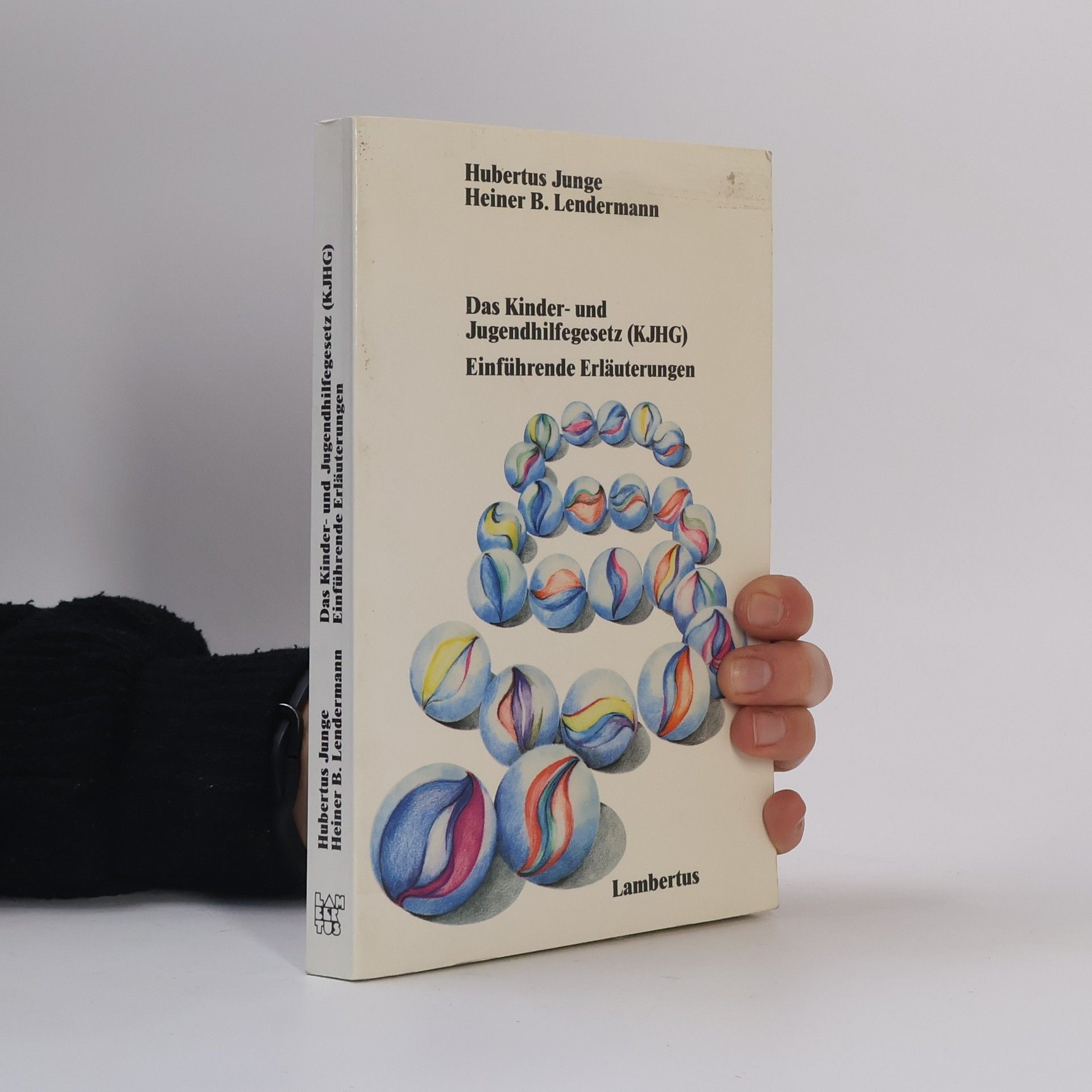 Das Kinder- und Jugendhilfegesetz