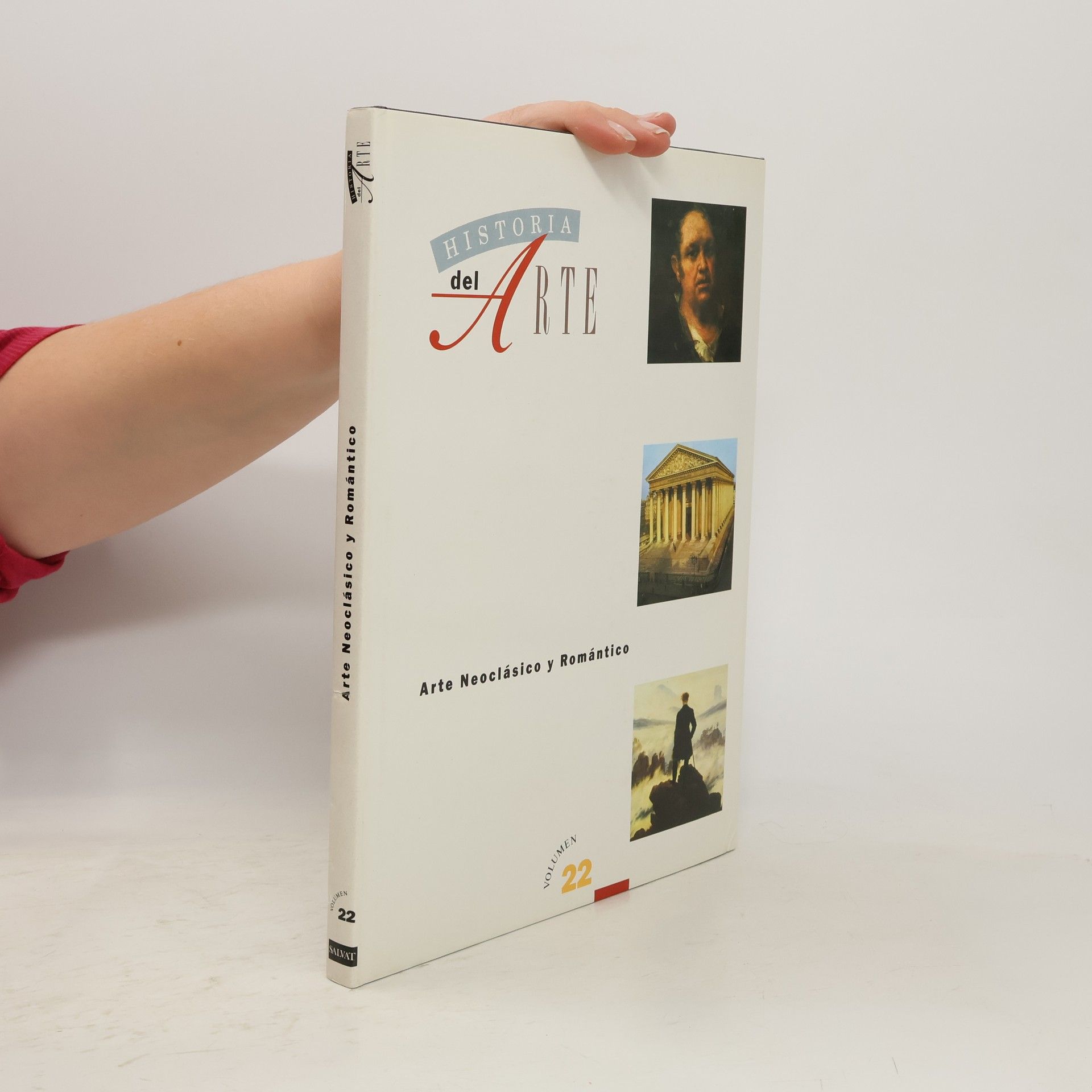 Kolektív autorov Historia del Arte Salvat 22