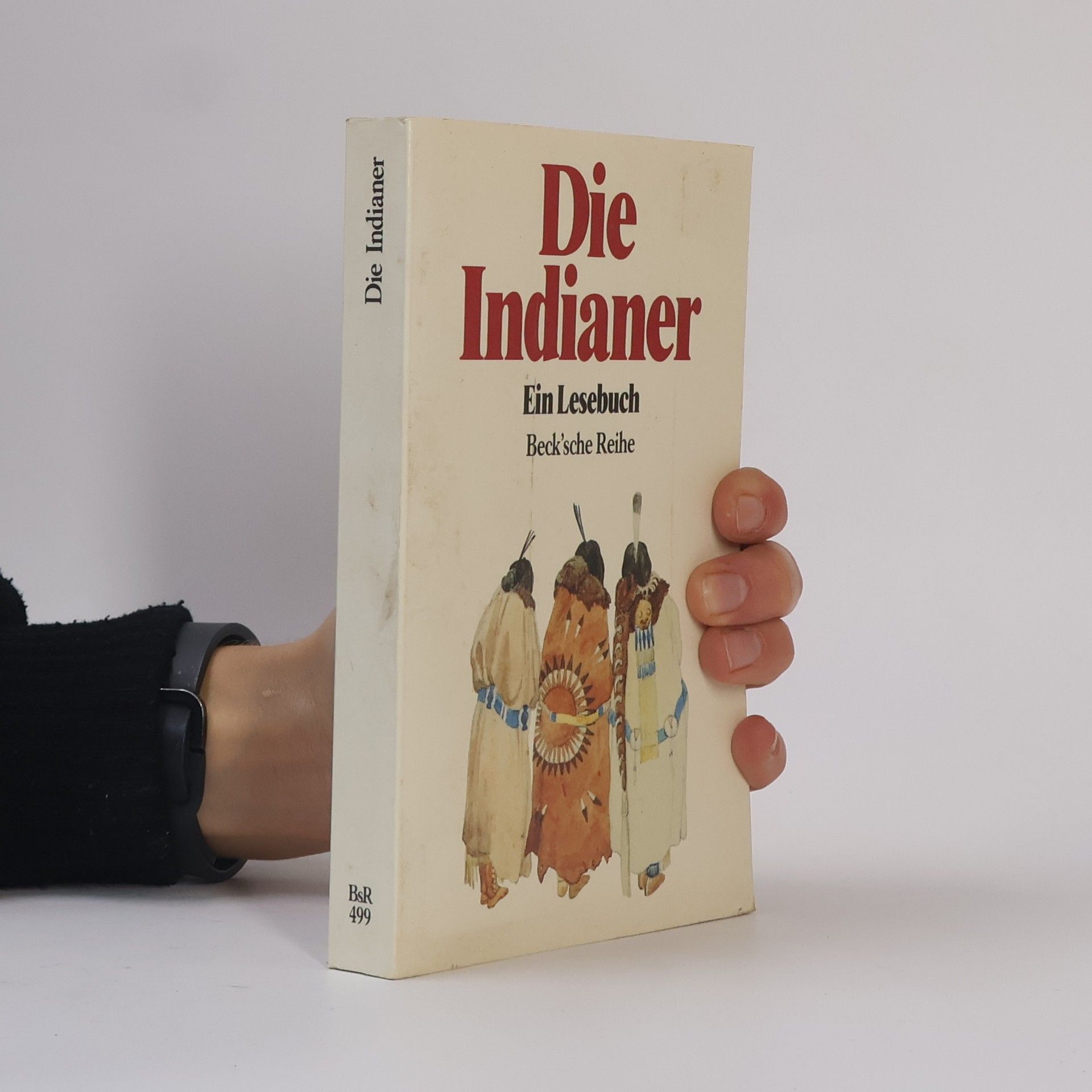 Die Indianer