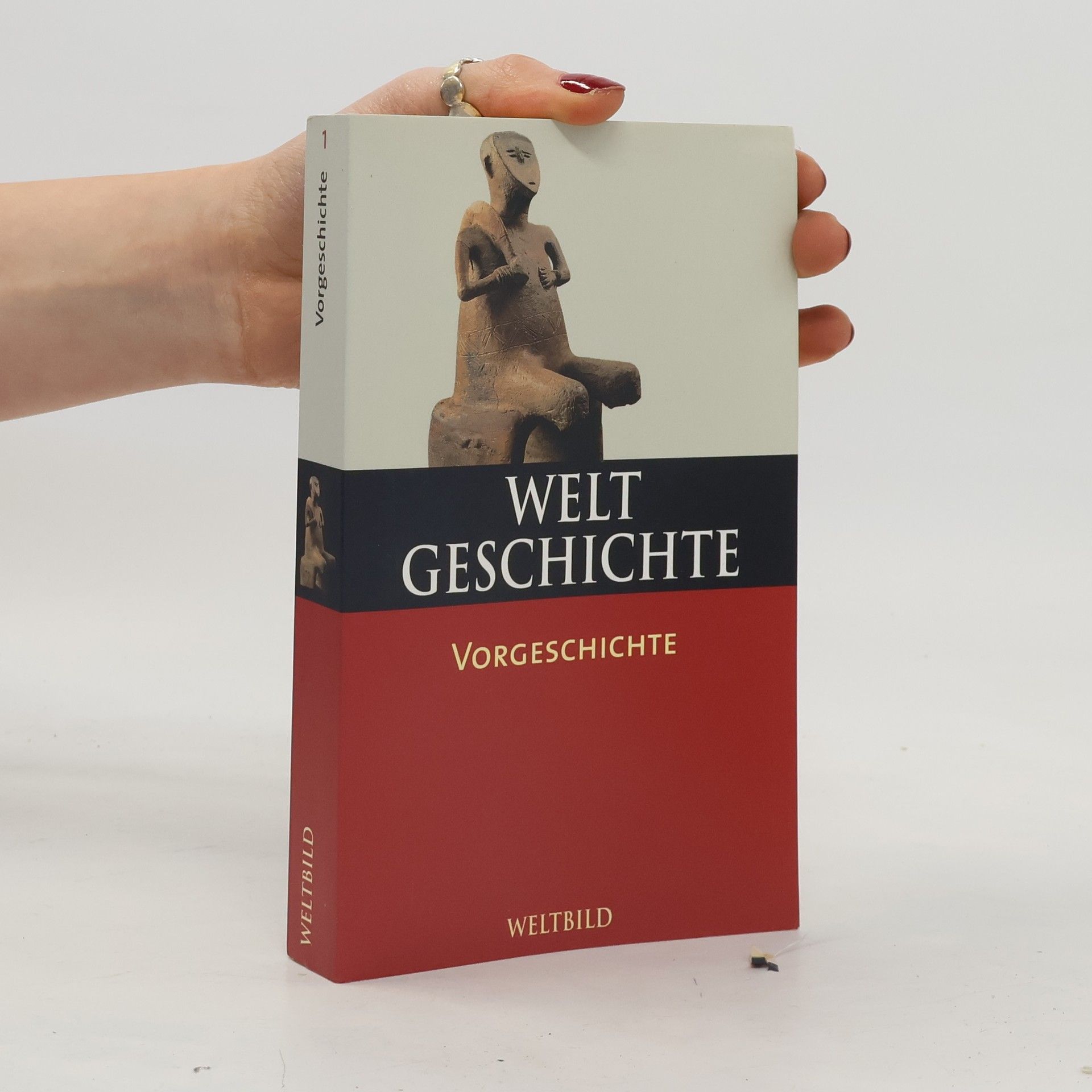 Auteurscollectief Weltgeschichte 11: Das Hochmittelalter