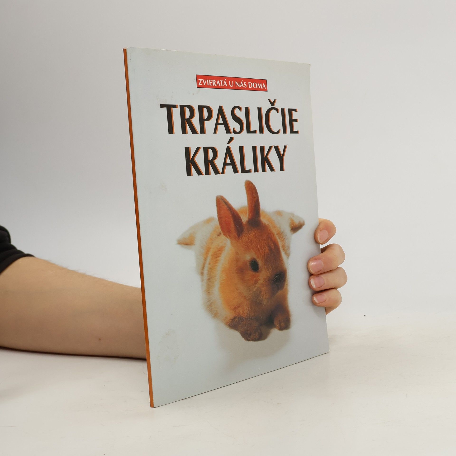 Michael Mettler Trpasličie králiky