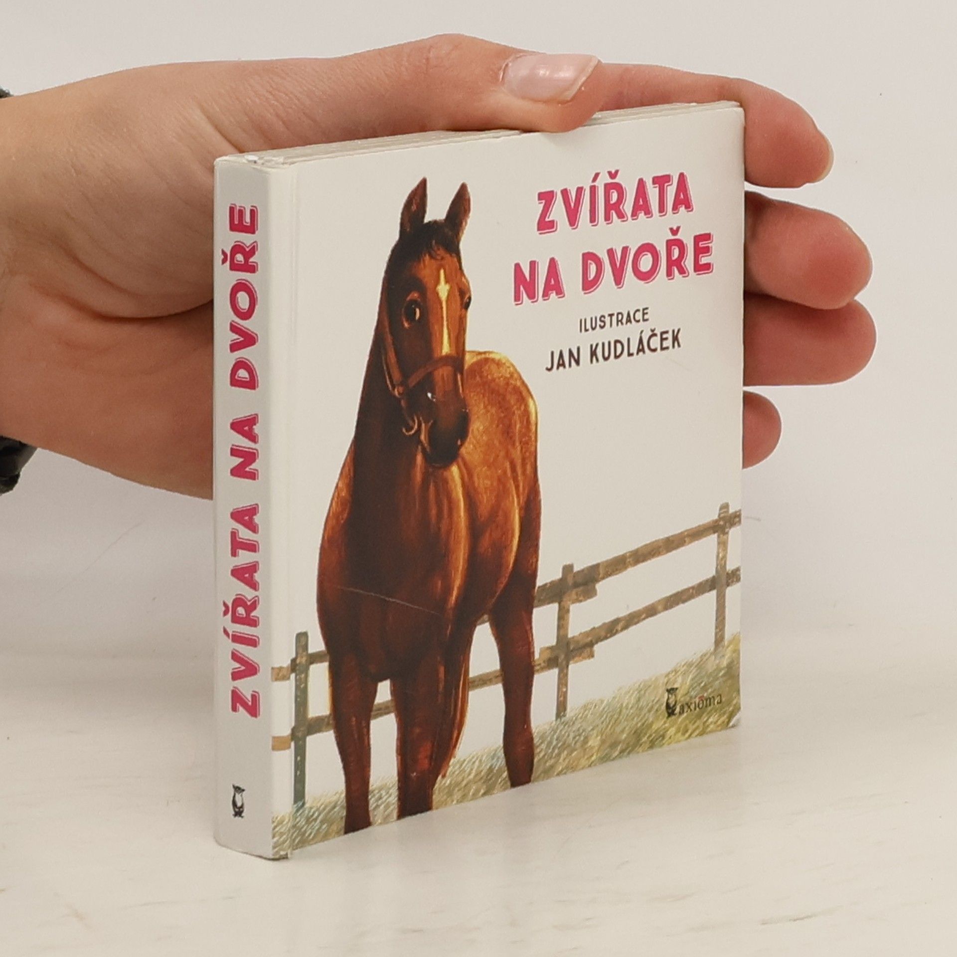 Jan Kudláček Zvířata na dvoře