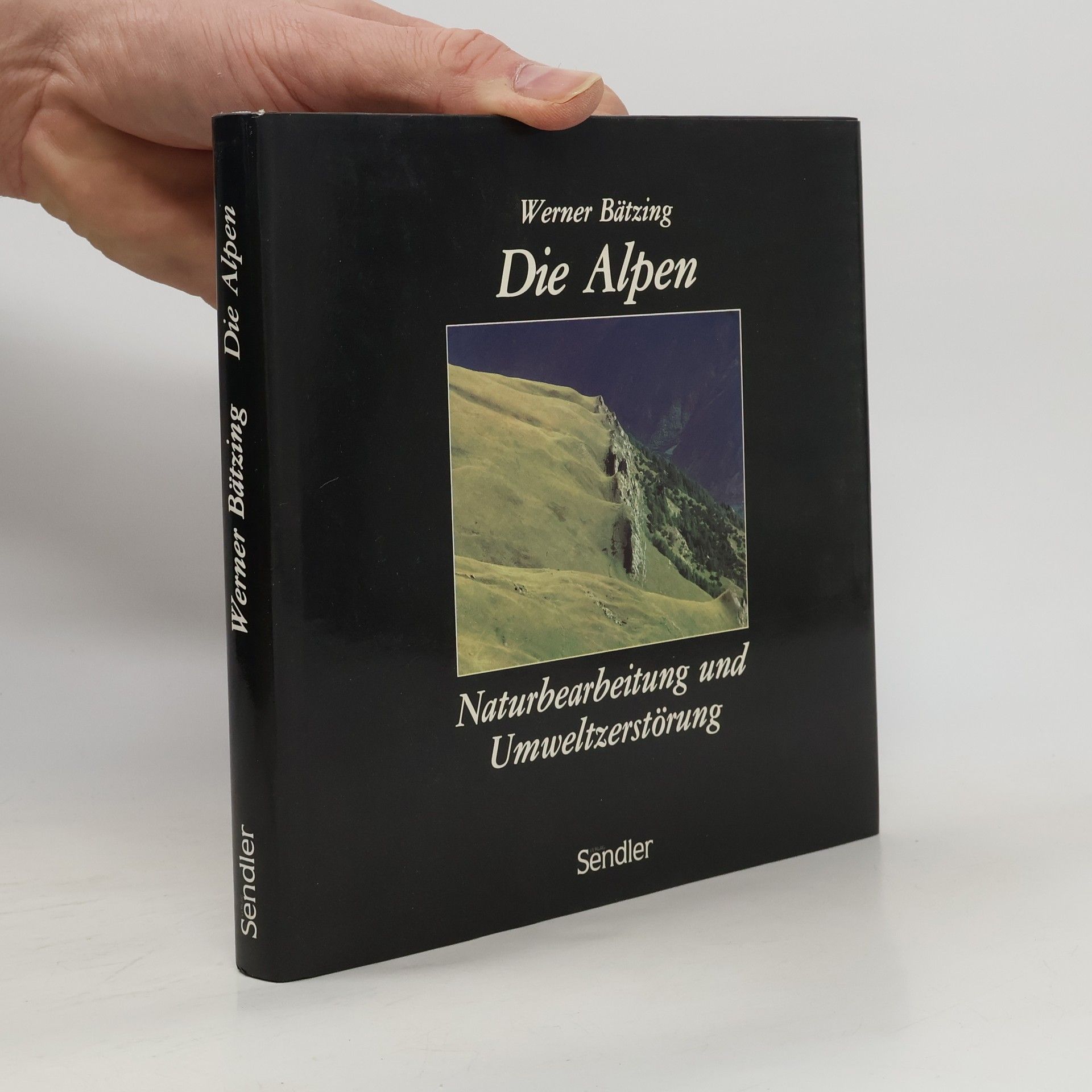 Werner Bätzing Die Alpen - Naturbearbeitung und Umweltzerstörung