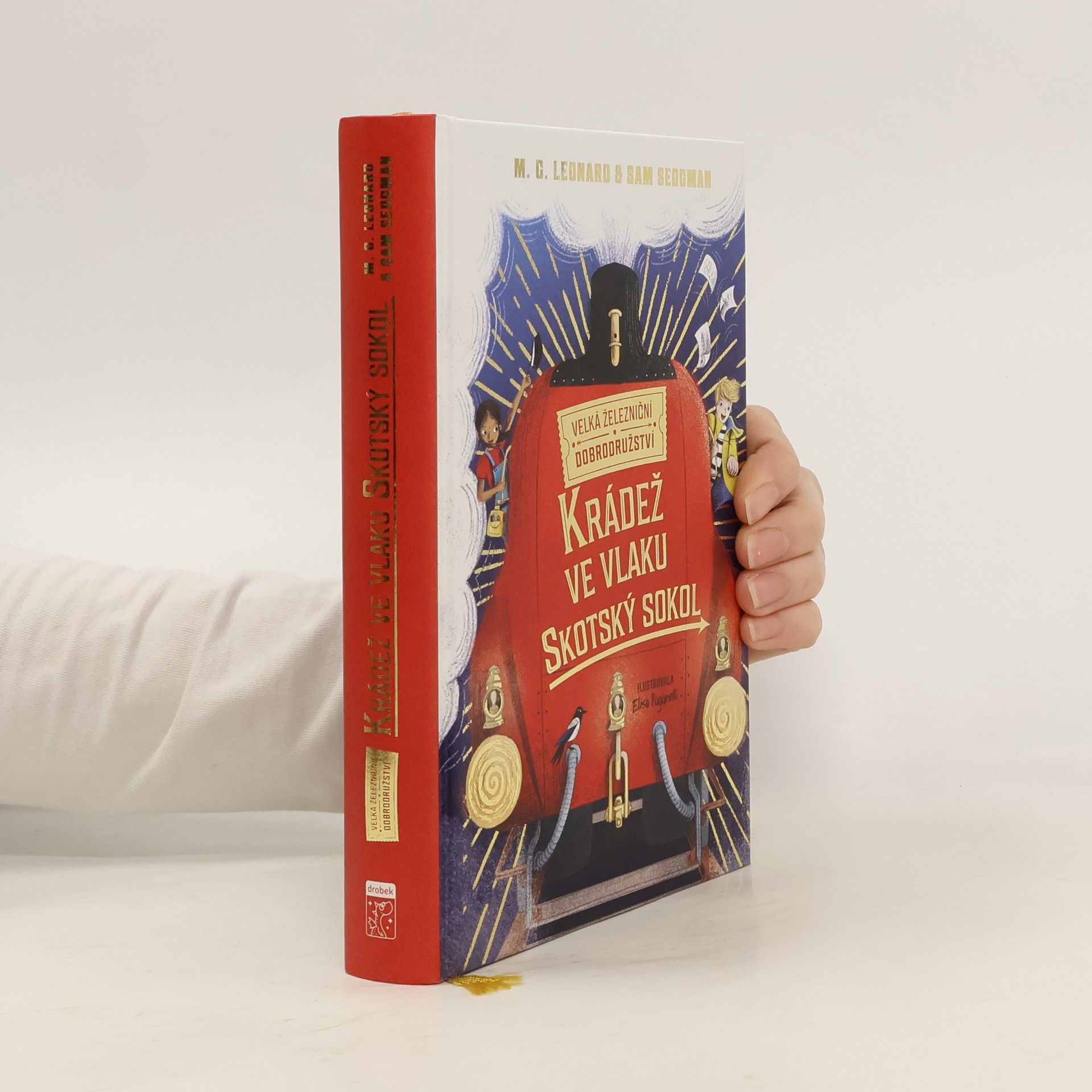 M.G. Leonard Krádež ve vlaku Skotský sokol