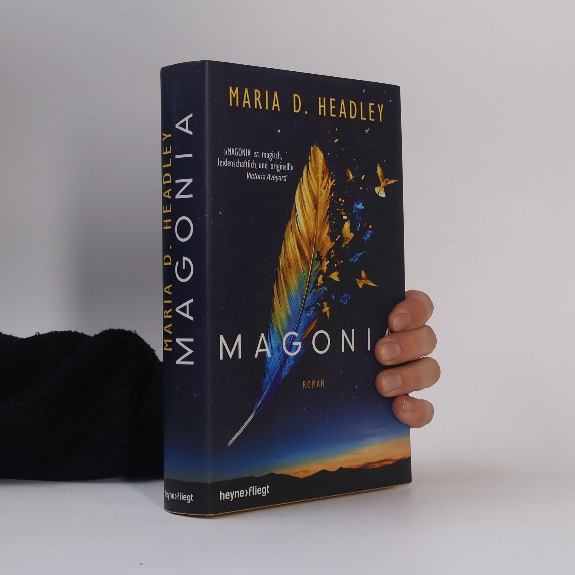 Maria Dahvana Headsley Magonia