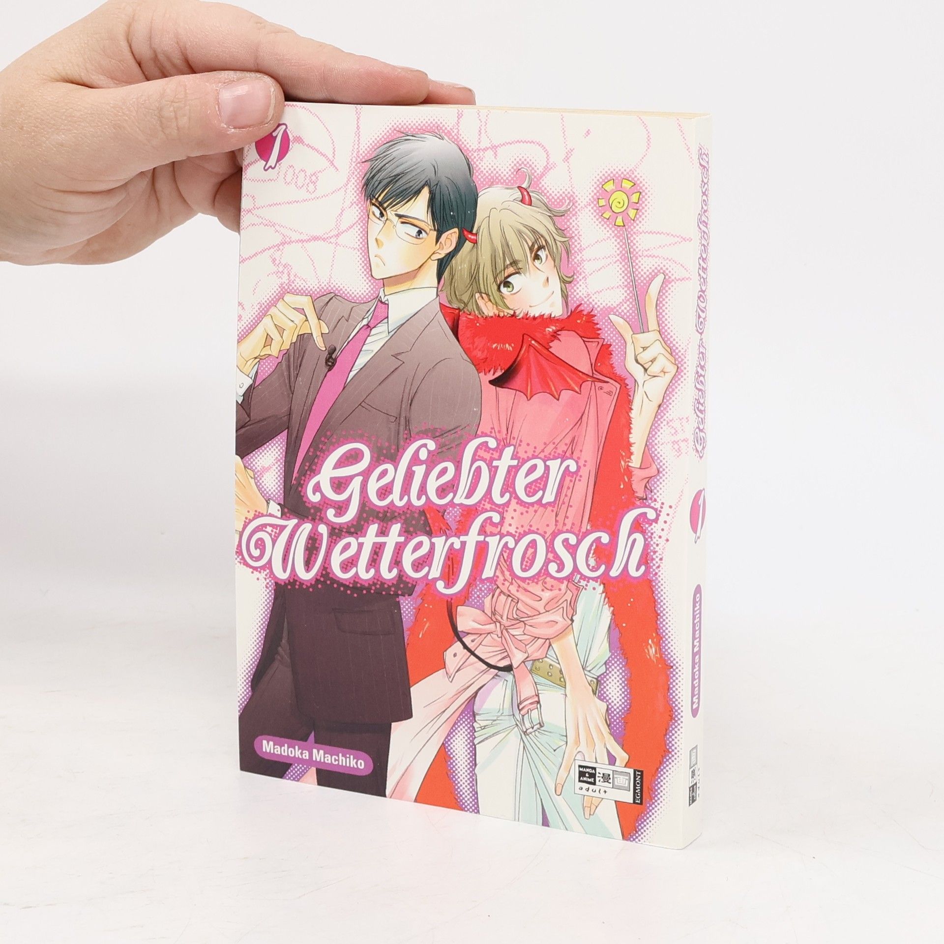 Kolektív autorov Geliebter Wetterfrosch