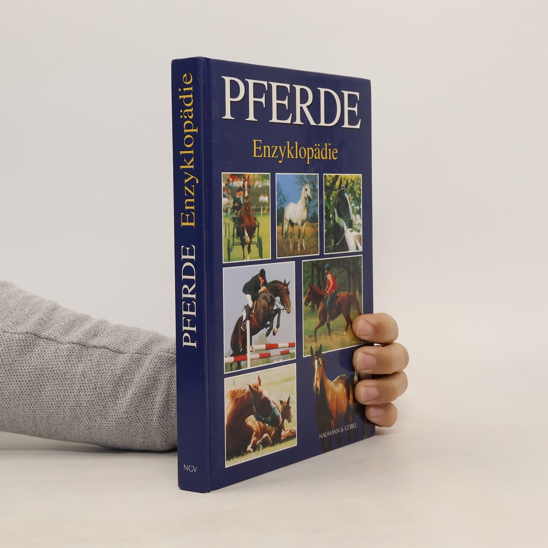 Josée Hermsen Pferde