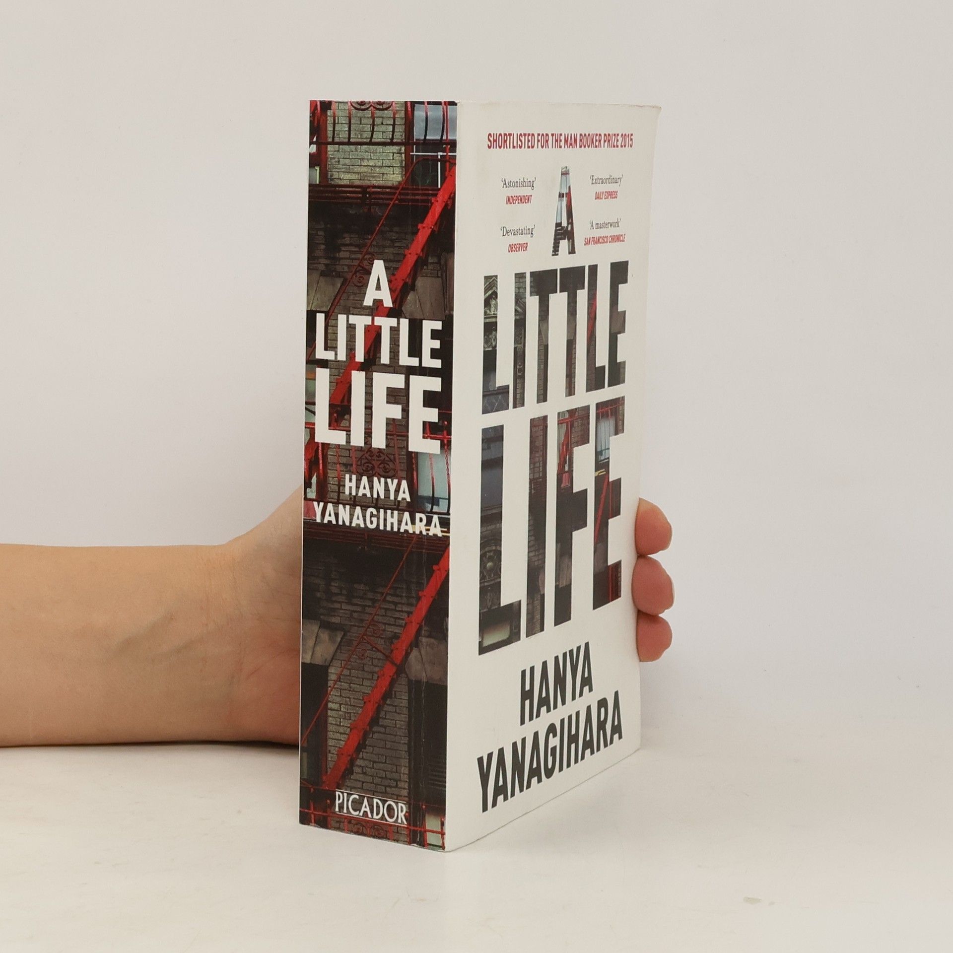 Hanya Yanagihara A Little Life
