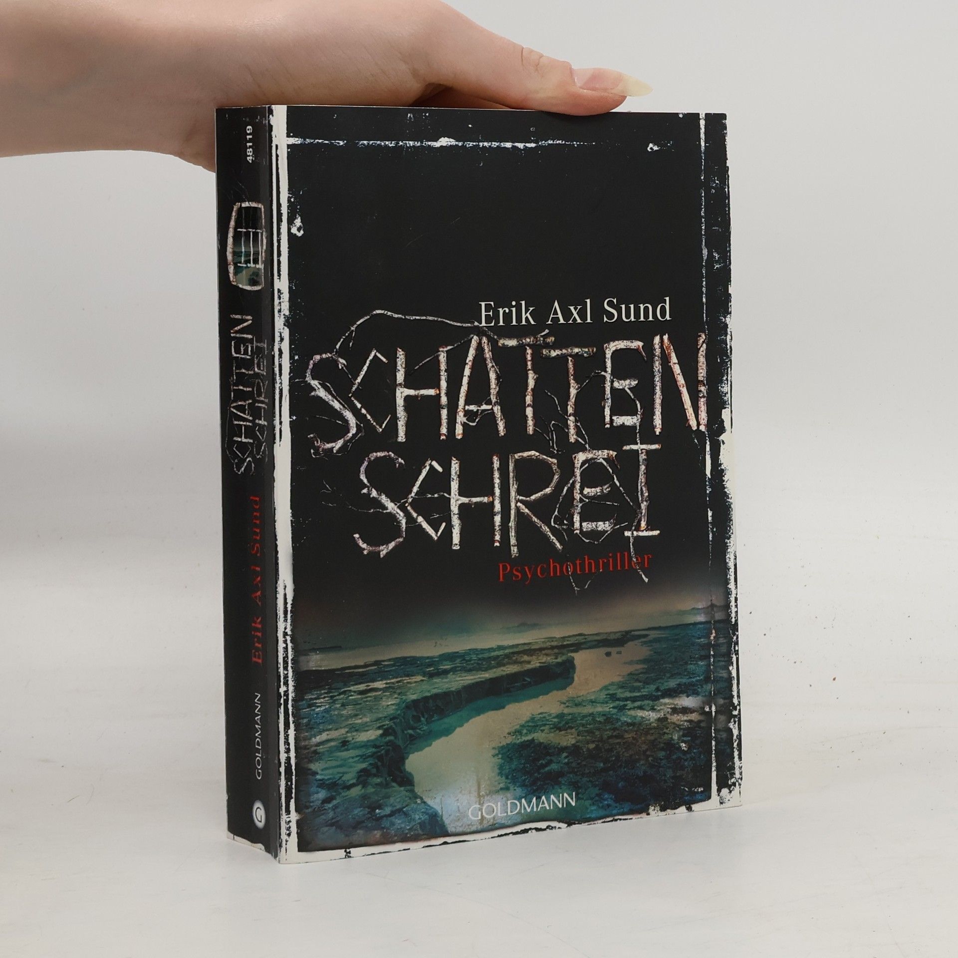 Erik Axl Sund Schattenschrei