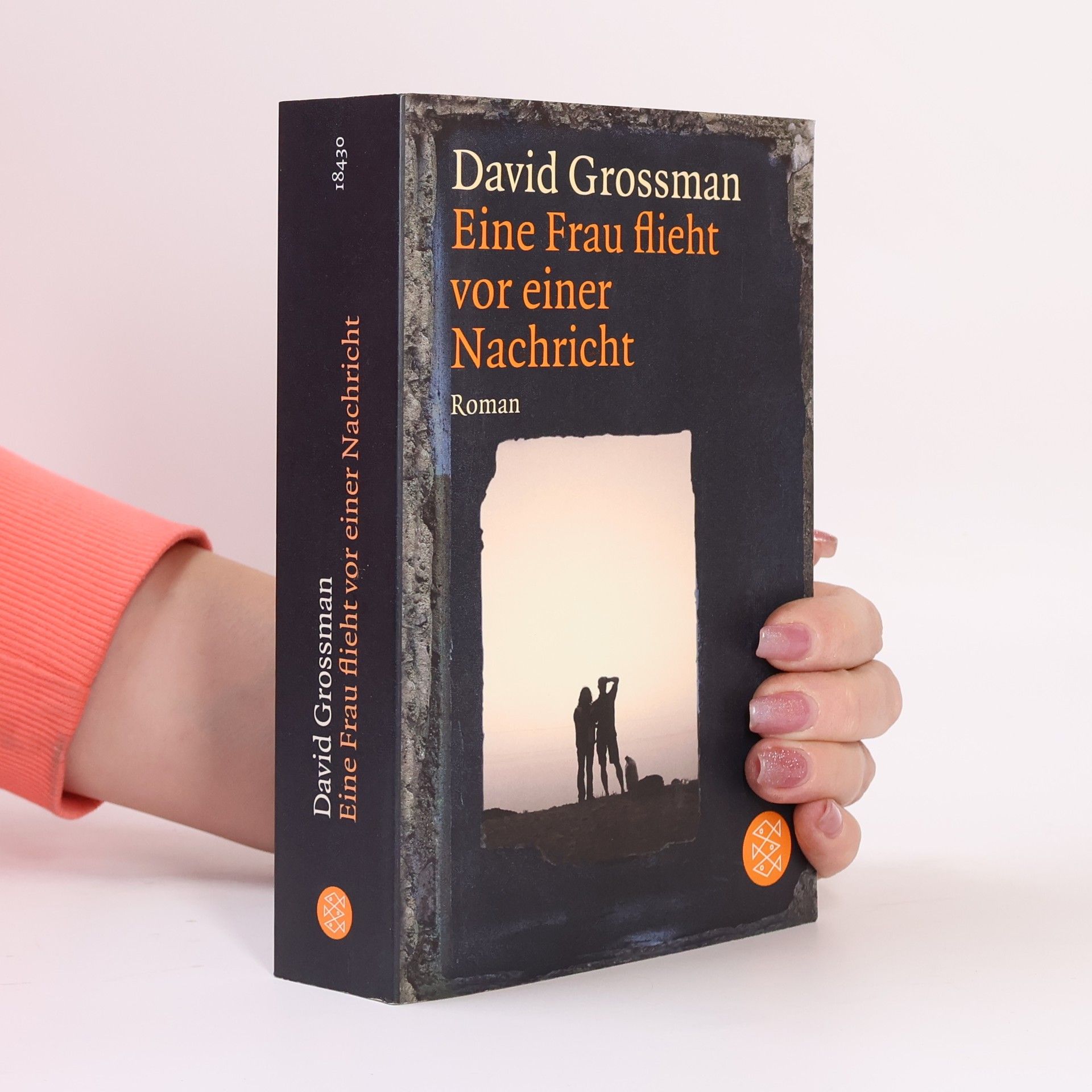 David Grossman Eine Frau flieht vor einer Nachricht