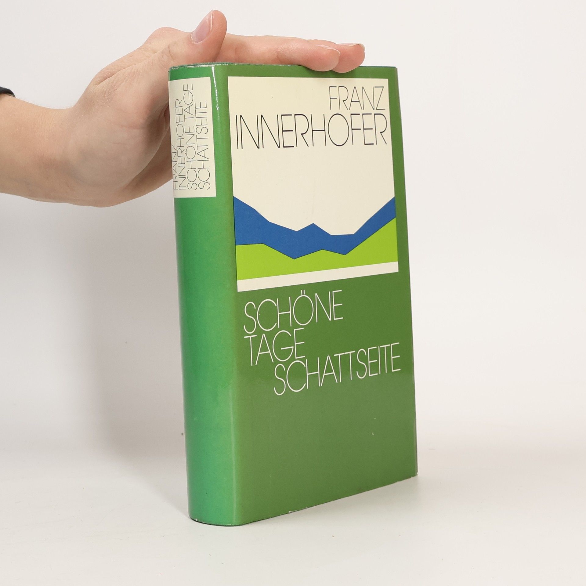 Franz Innerhofer Schöne Tage. Schattseite
