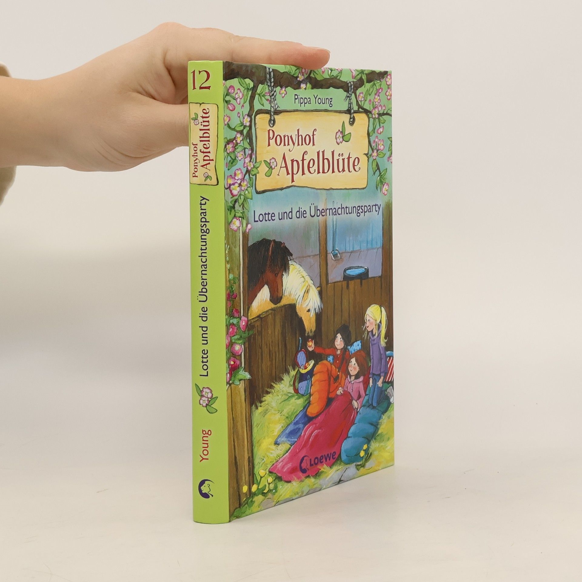 Pippa Young Lotte und die Übernachtungsparty