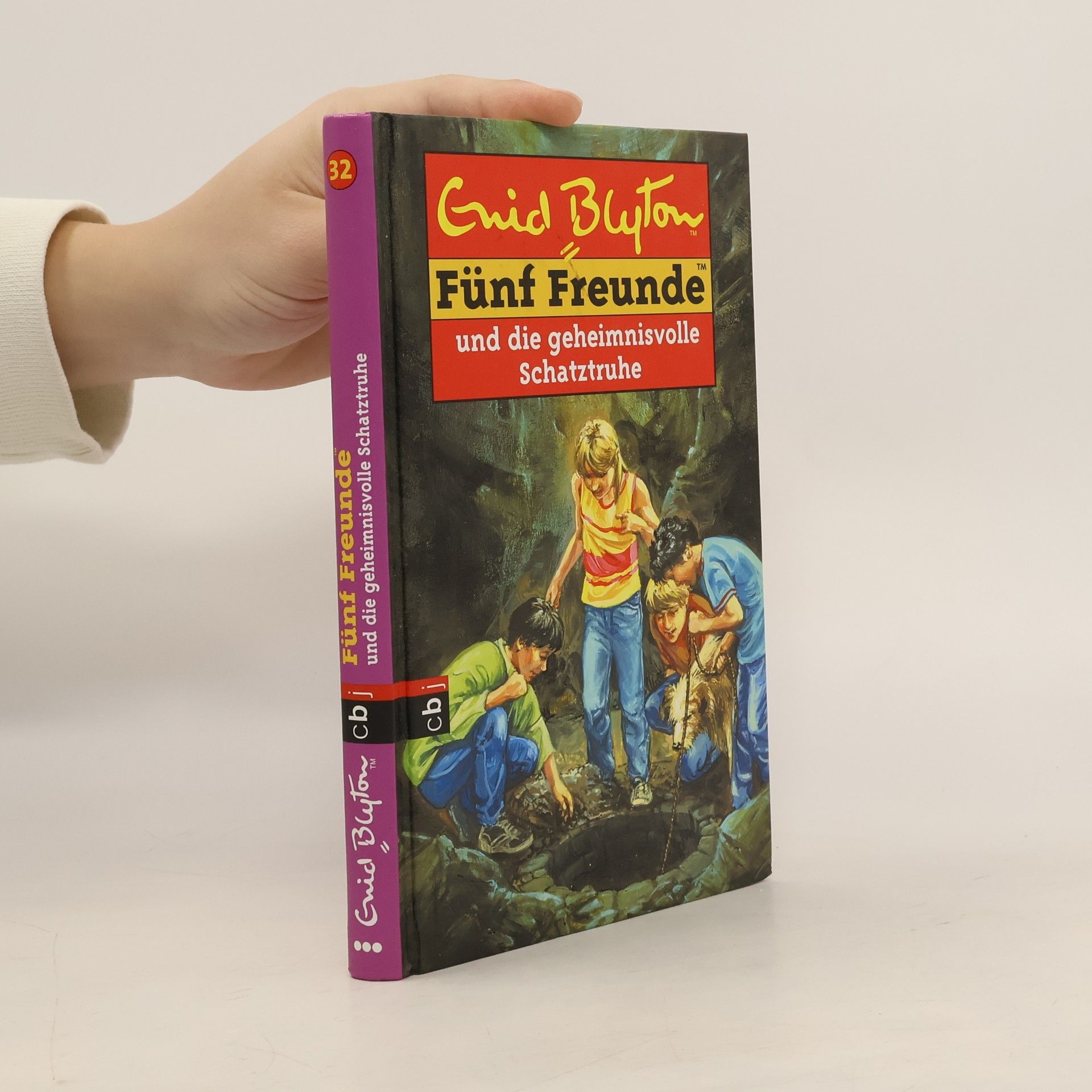 Enid Blyton Fünf Freunde und die geheimnisvolle Schatztruhe