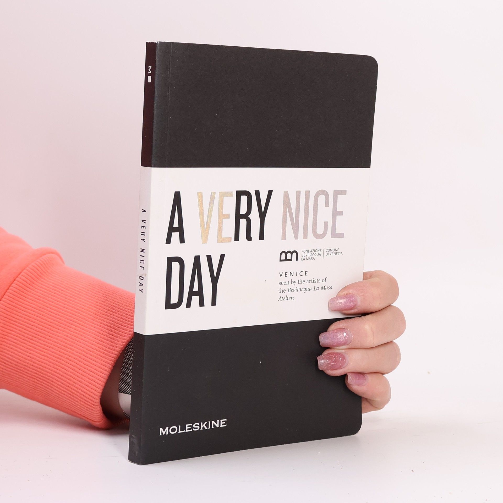 Collectif d'auteurs A Very Nice Day