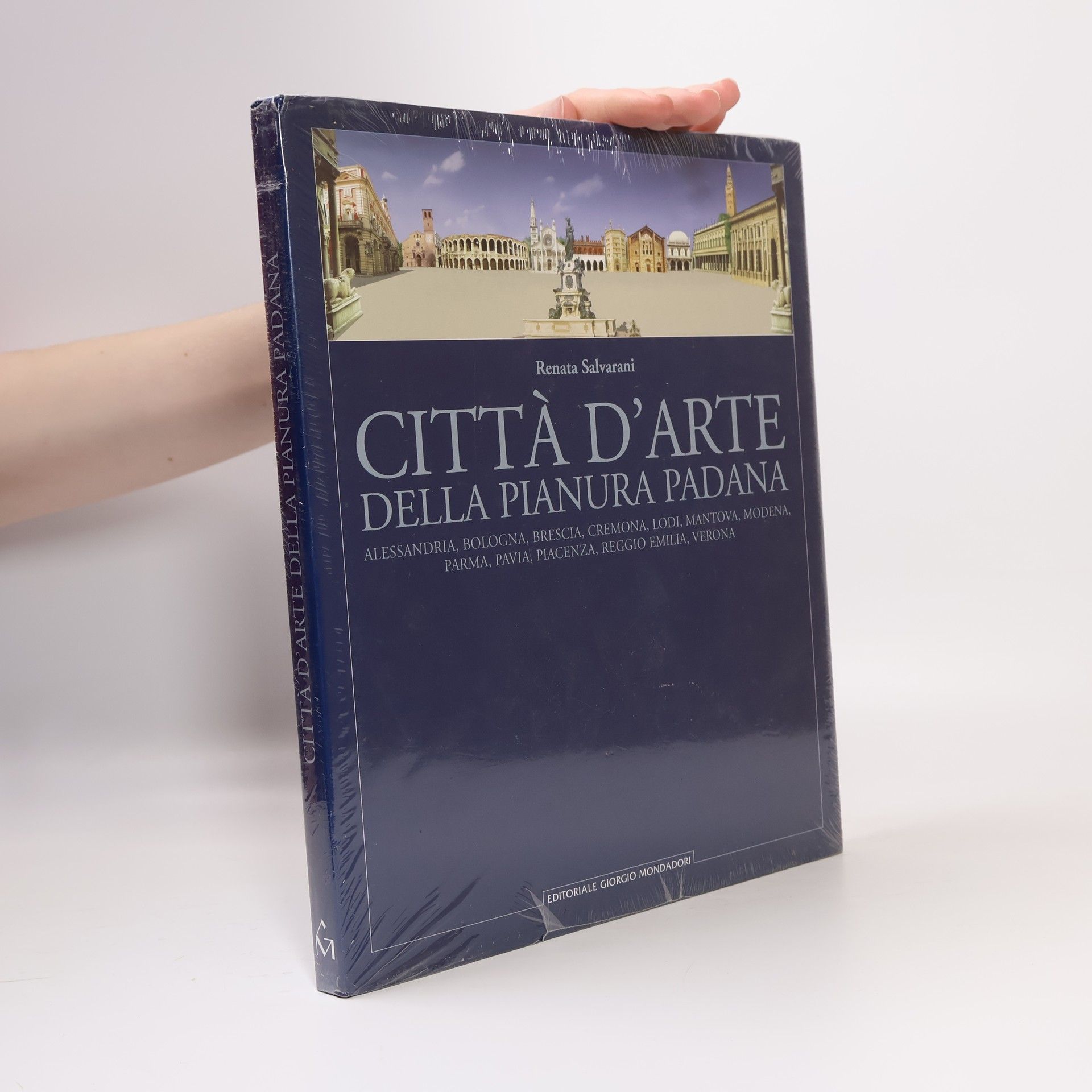 Città d'arte della Pianura Padana